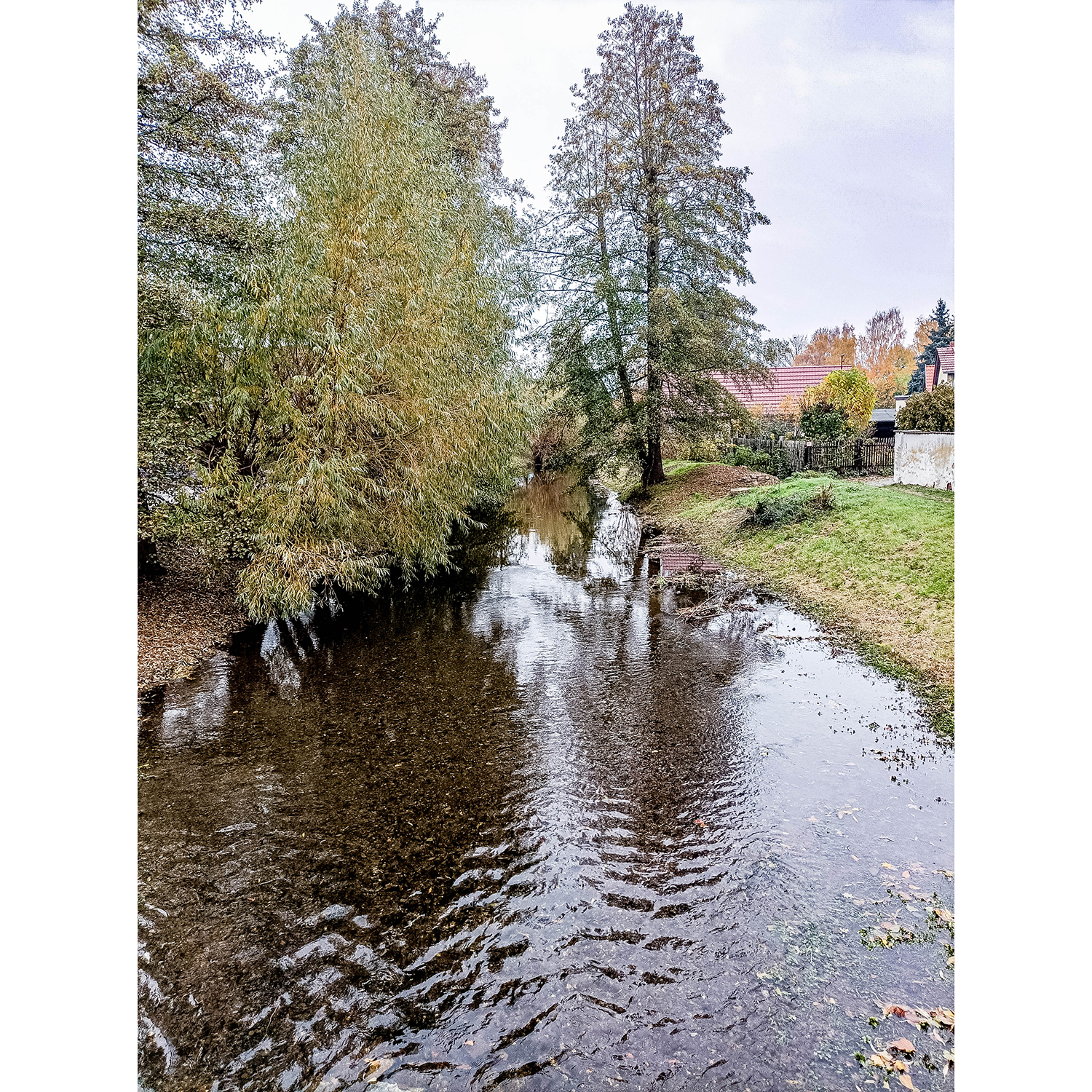 33-Goldene Aue - Berga - Brücke Topfstedter Straße - Blick nach Nordwesten auf Thyra gewässeraufwärts