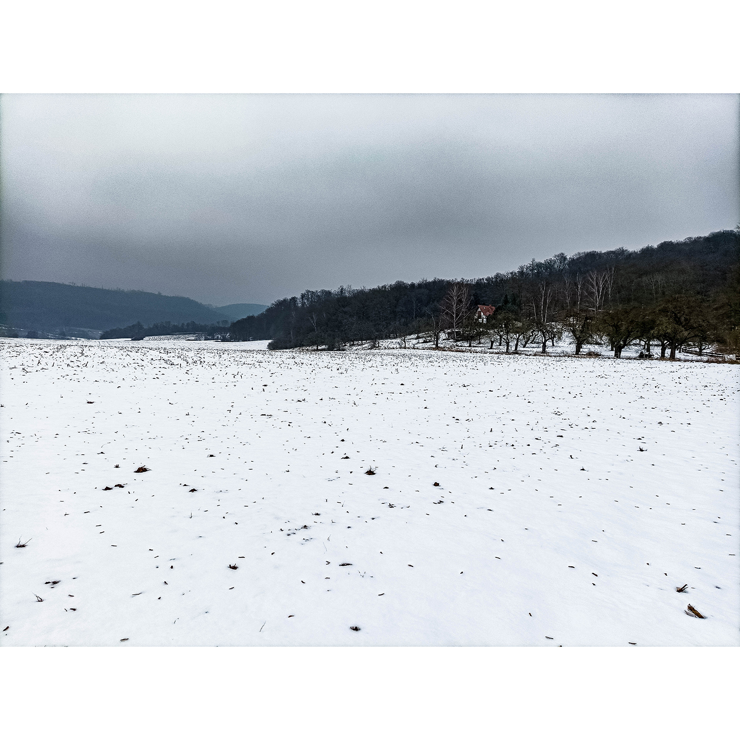 03-Südharz-Uftrungen-Verbindungsweg zwischen Schleifweg & Waldgebiet am Seeberg - Blick nach Nordosten auf Aue Breitunger Bach gewässeraufwärts&Waldgebiet am Seeberg