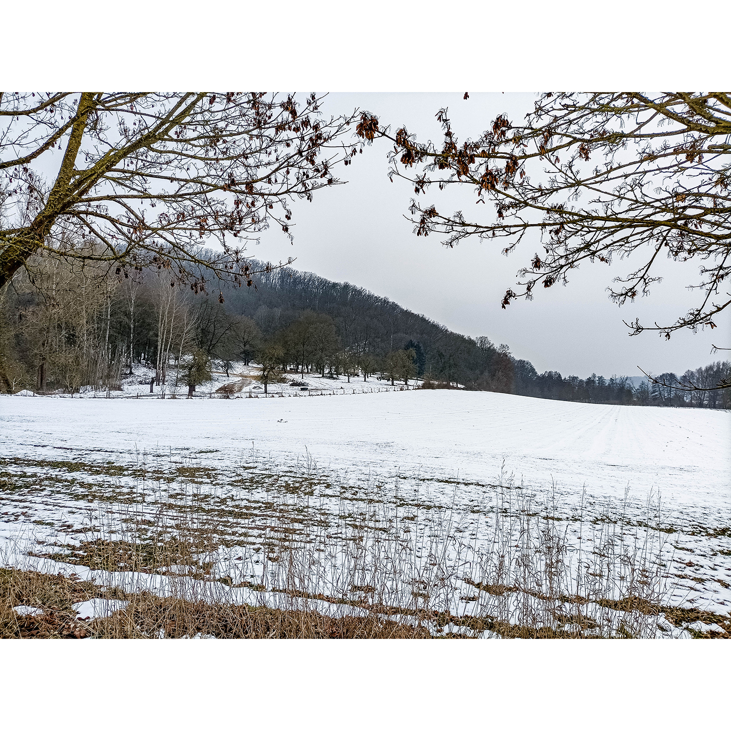 04-Südharz-Uftrungen-Verbindungsweg zwischen Schleifweg & Waldgebiet am Seeberg - Blick nach Südwesten auf Waldgebiet am Seeberg&Aue Breitunger Bach gewässerabwärts