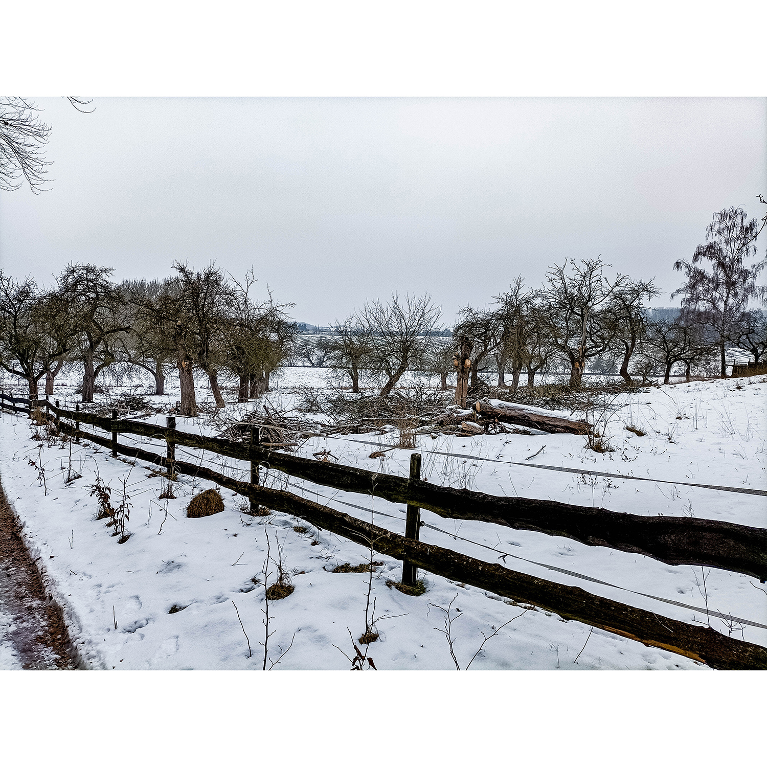 05-Südharz-Uftrungen-Verbindungsweg zwischen Schleifweg & Waldgebiet am Seeberg - Nordwestbereich Waldgebiet am Seeberg - Blick nach Südwesten auf Streuobstwiese