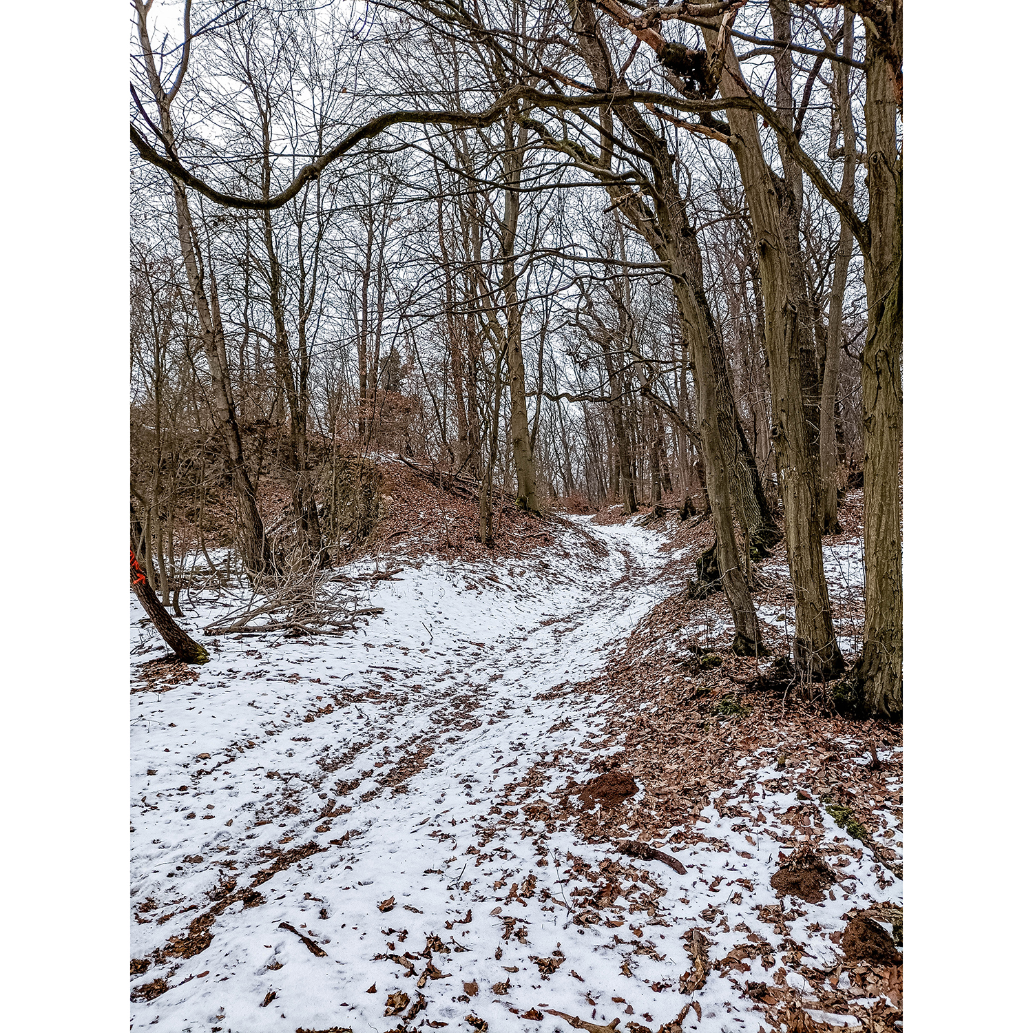 06-Südharz-Uftrungen-Nordwestbereich Waldgebiet am Seeberg -Karstwanderweg - Blick nach Nordosten in Richtung Breitungen