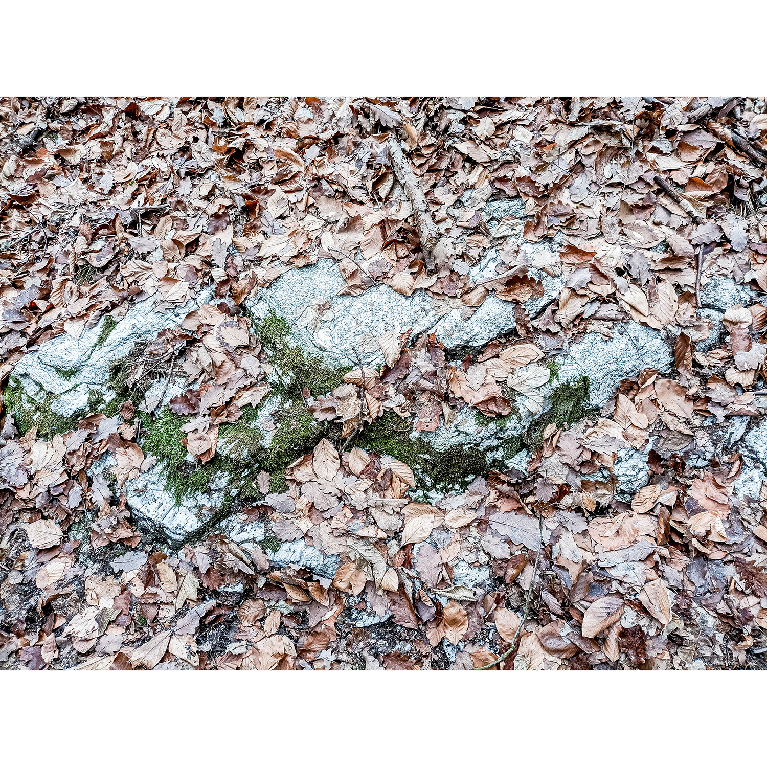 09-Südharz-Uftrungen-Zentralbereich Waldgebiet am Seeberg -Karstwanderweg - Blick nach Norden auf Gips am Weg
