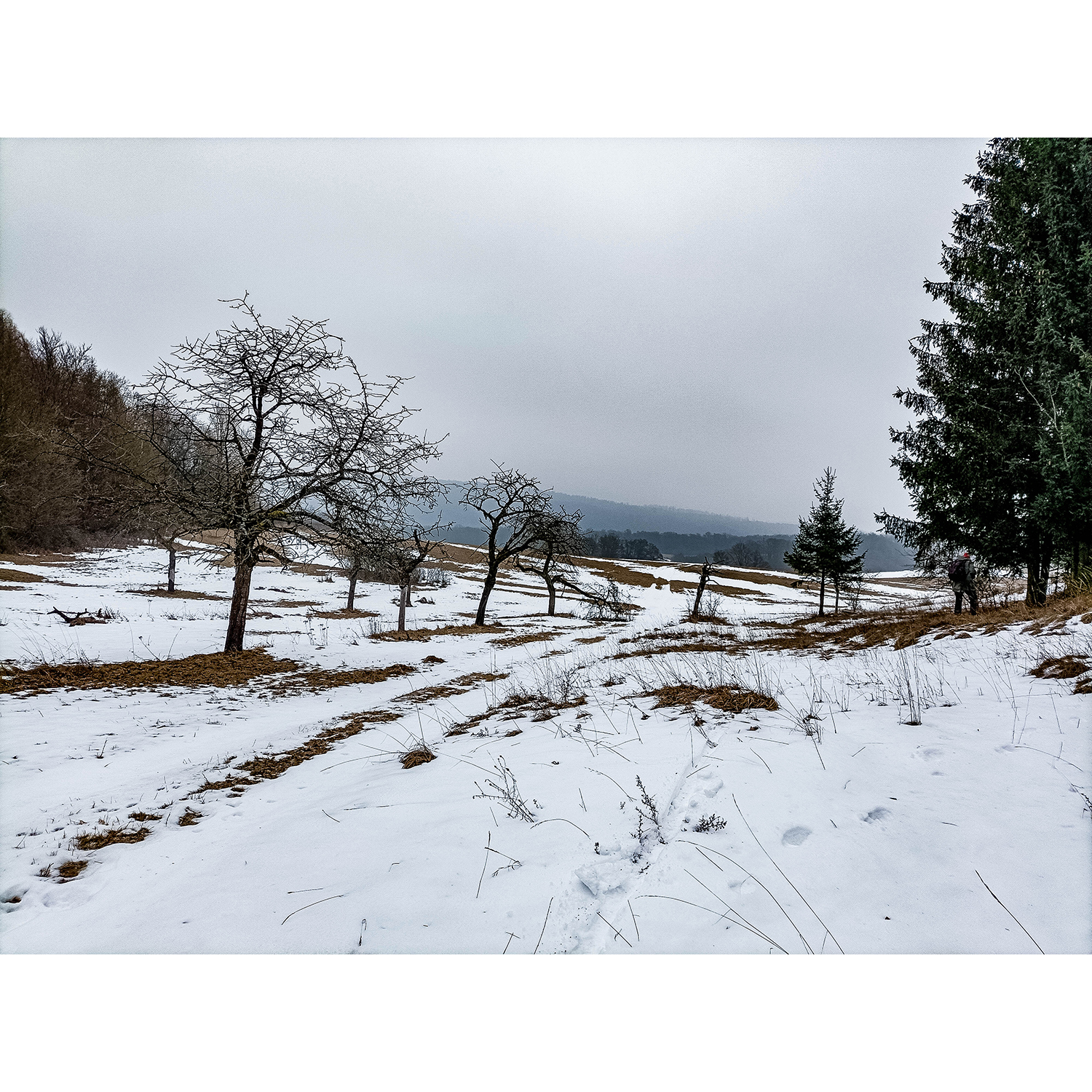 11-Südharz-Uftrungen-Nahtstelle Waldgebiet am Seeberg & Geiersberg -Karstwanderweg - Blick nach Nordosten auf Oberhahn in Richtung Aue Breitunger Bach
