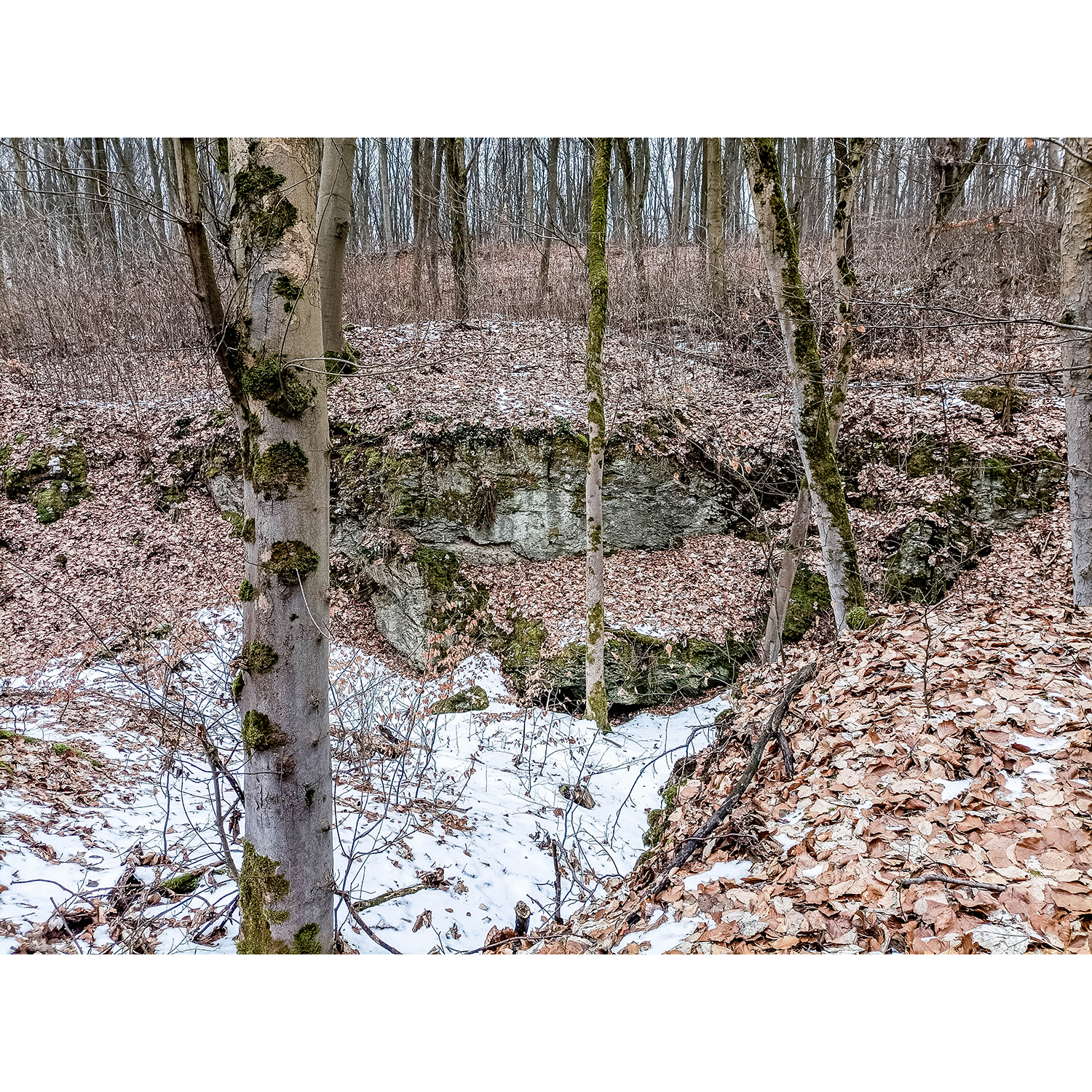 14-Südharz-Uftrungen-Zentralereich Geiersberg -Karstwanderweg - Blick nach Südwesten auf Standort Kalkstraße bei Uftrungen mit Gipsaufschluss