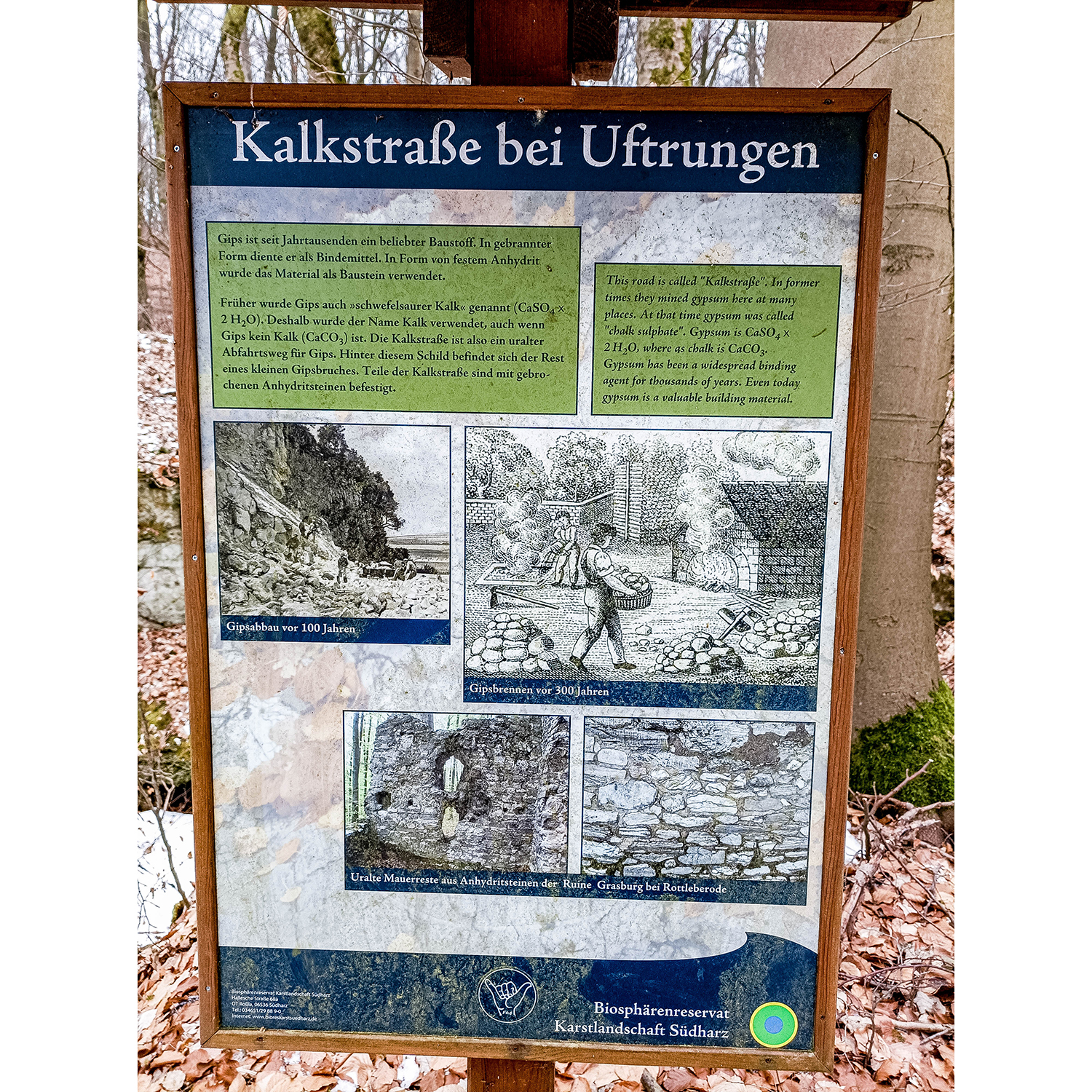 15-Südharz-Uftrungen-Zentralereich Geiersberg -Karstwanderweg - Blick nach Südwesten auf Informationstafel Kalkstraße bei Uftrungen