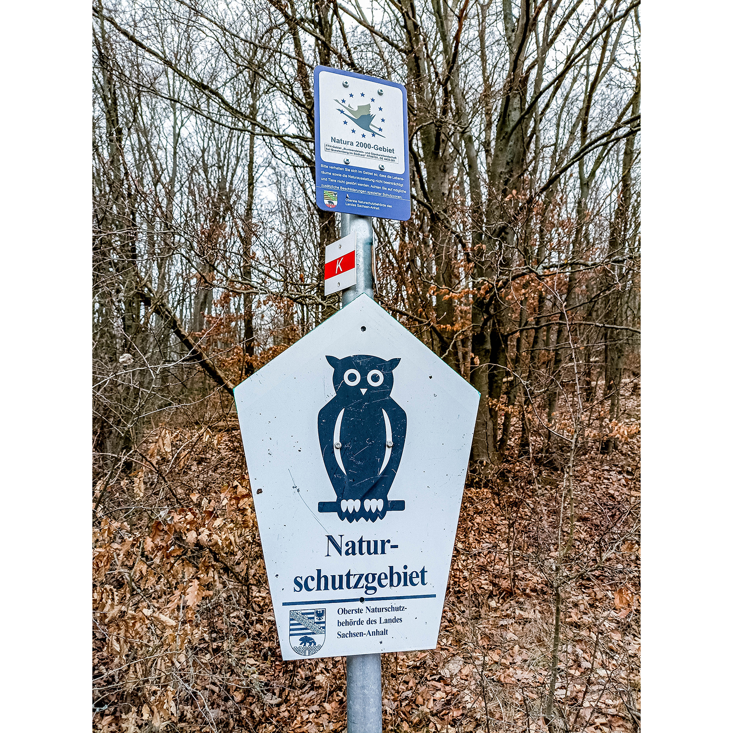 19-Südharz-Uftrungen-Südostbereich Jägersberg -Karstwanderweg - Blick nach Nordosten auf Schilder Schutzgebiete