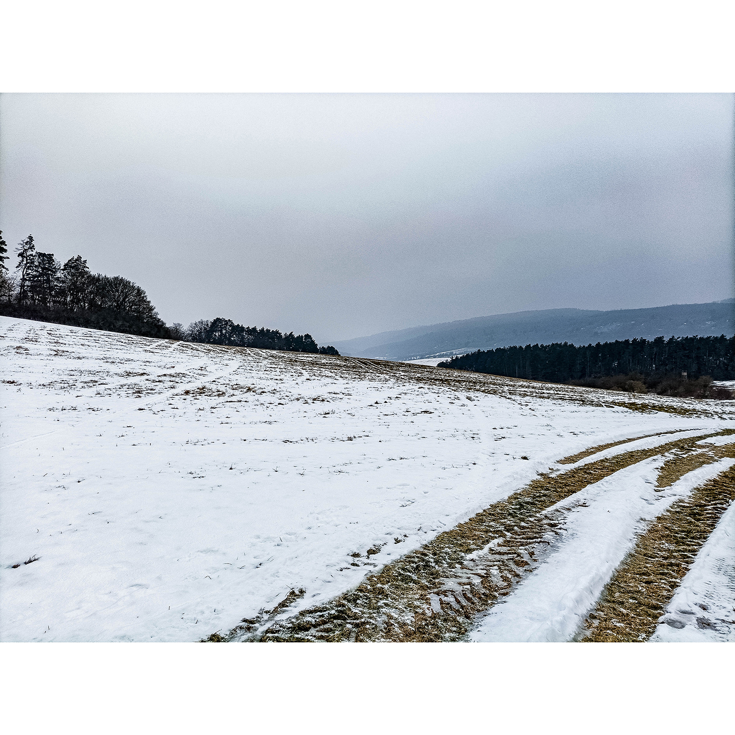 20-Südharz-Weg zwischen Hoher Kopf & Breitungen - Blick nach Nordwesten auf Weißfläche in Richtung Aue Breitunger Bach