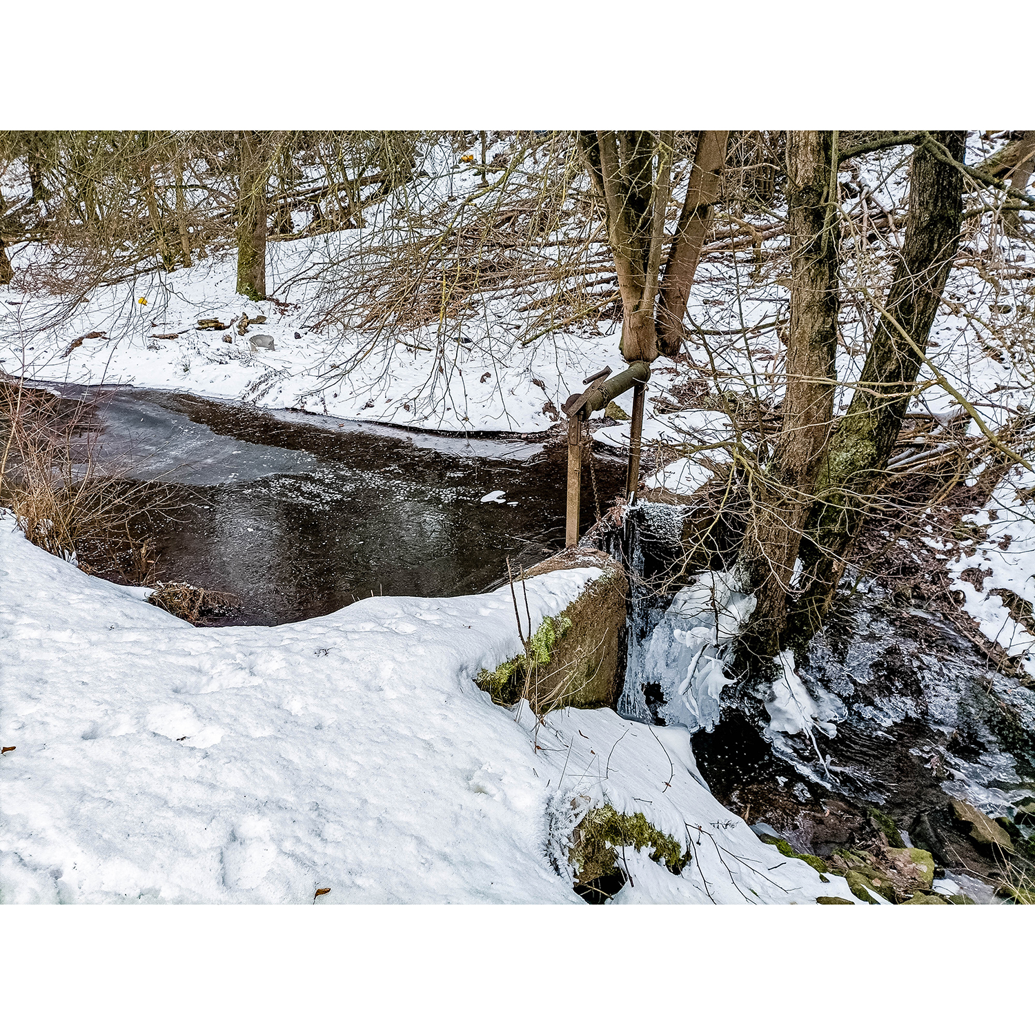 22-Südharz-Breitungen - Breitunger Kietel - Blick nach Nordosten auf Breitunger Bach gewässeraufwärts