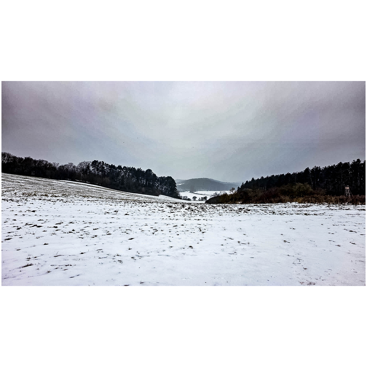 WhatsApp Image 2026-01-24 at 22.57.42 (2)