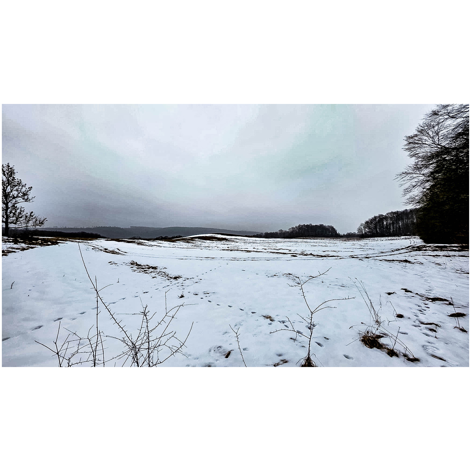 WhatsApp Image 2026-01-24 at 22.57.43 (1)