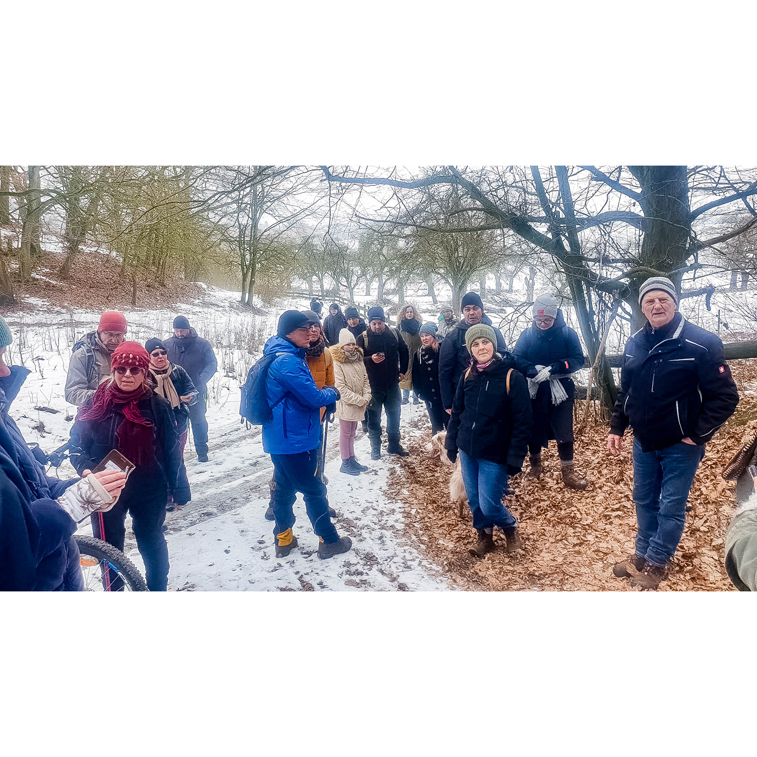 WhatsApp Image 2026-01-24 at 23.01.03