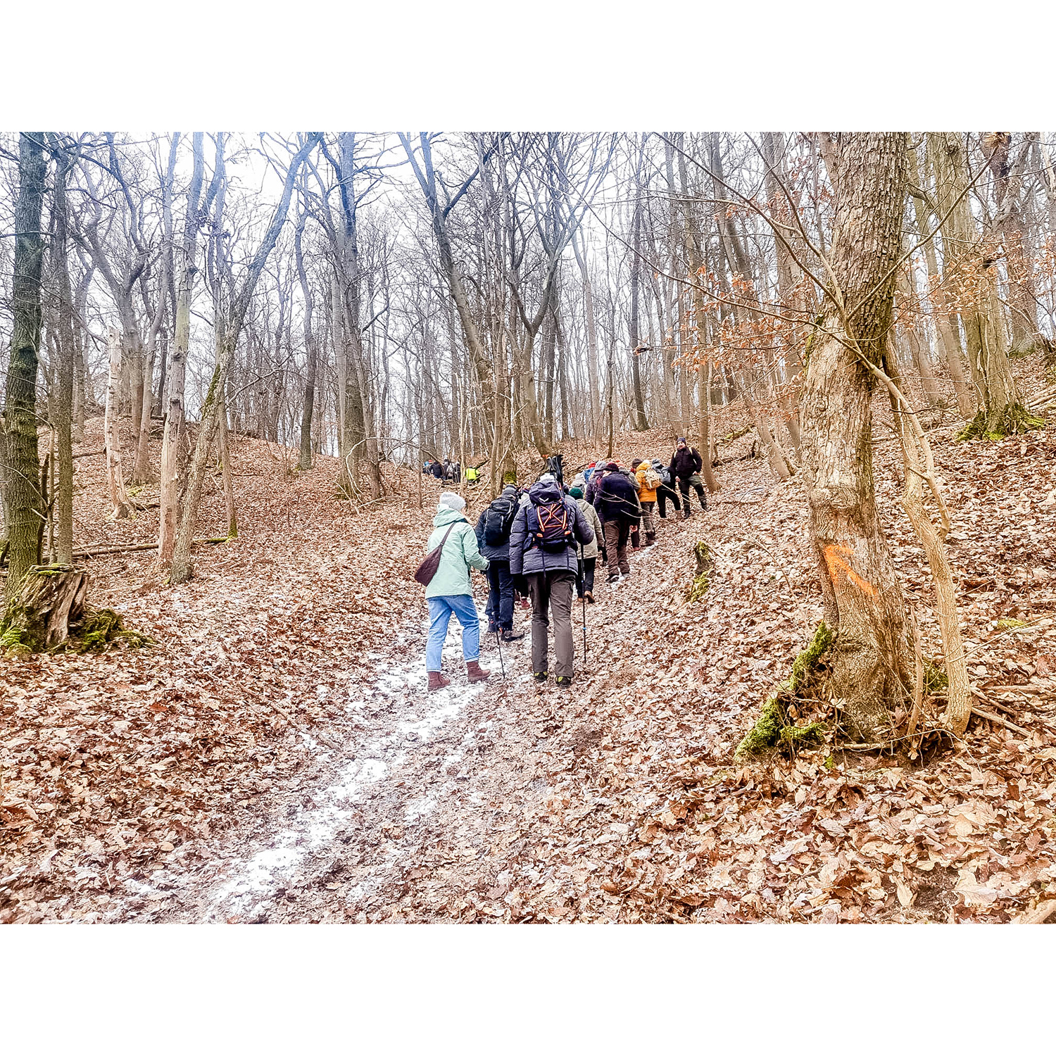 WhatsApp Image 2026-01-24 at 23.01.09 (2)