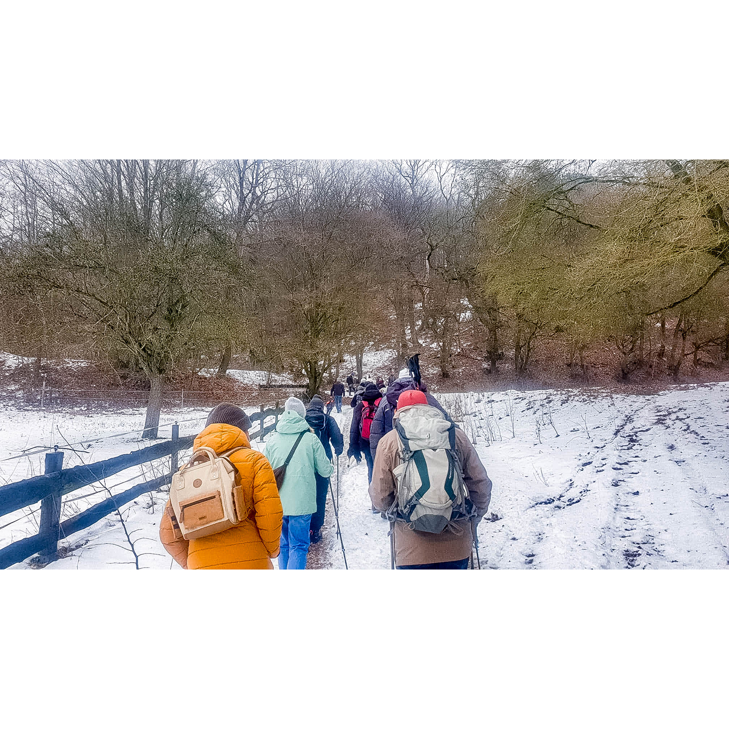 WhatsApp Image 2026-01-24 at 23.01.09