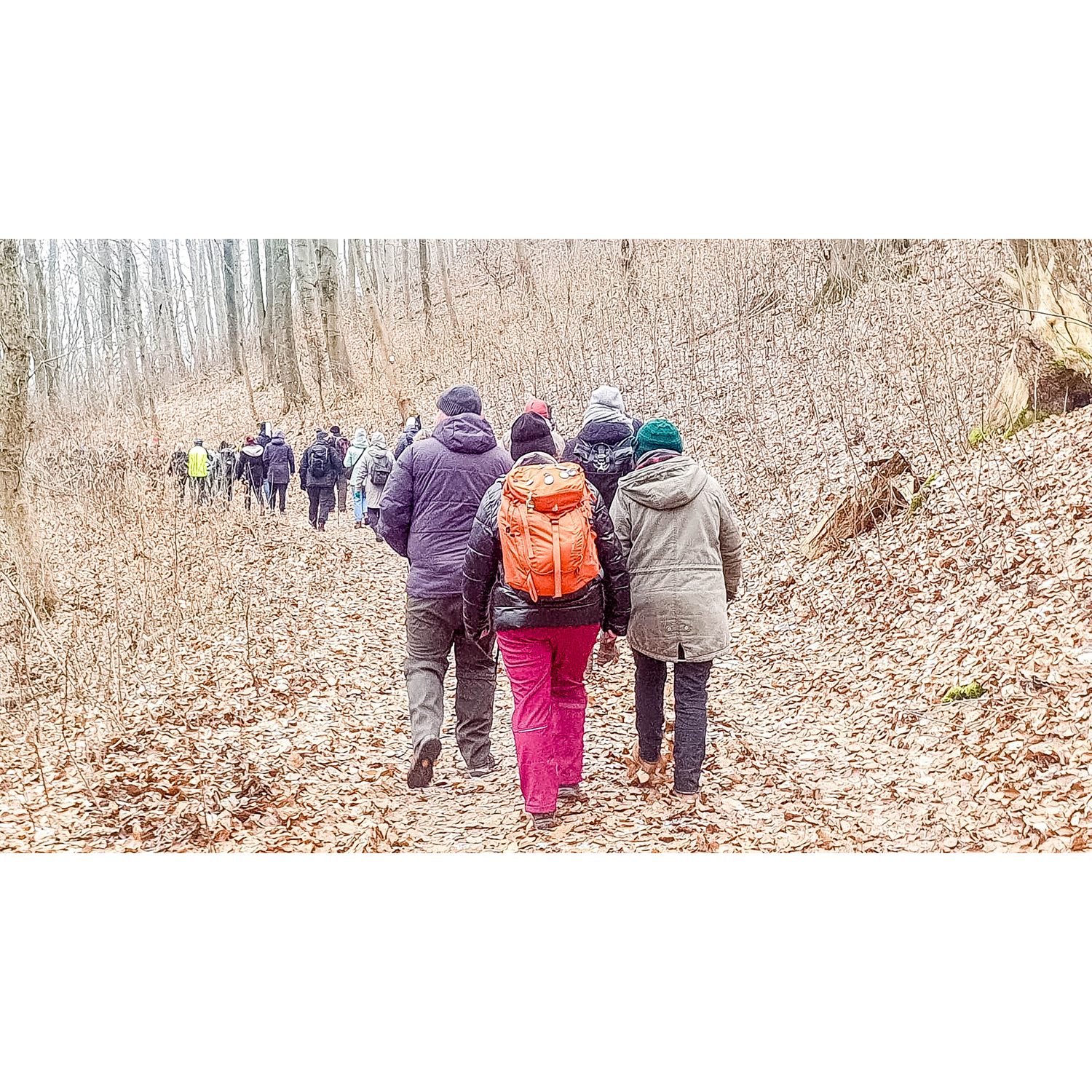 WhatsApp Image 2026-01-24 at 23.01.10 (4)