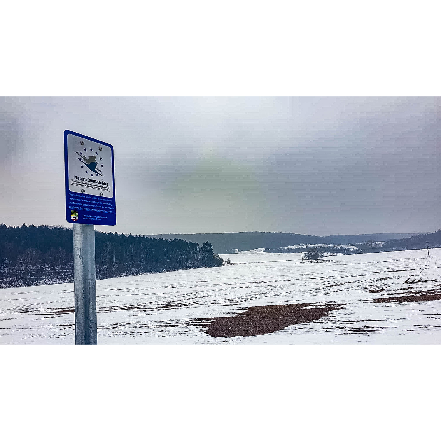 WhatsApp Image 2026-01-24 at 23.01.10 (5)