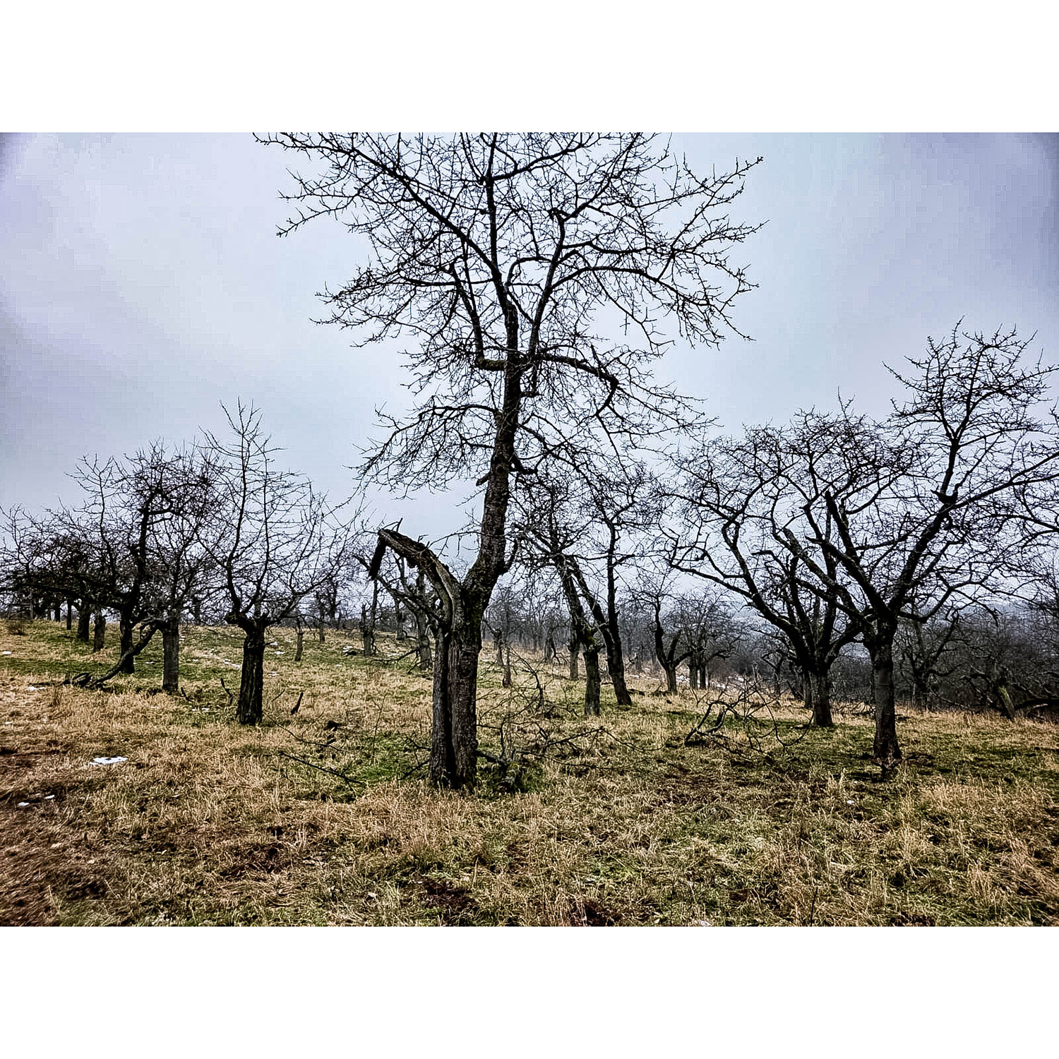 WhatsApp Image 2026-01-25 at 07.04.21 (1)