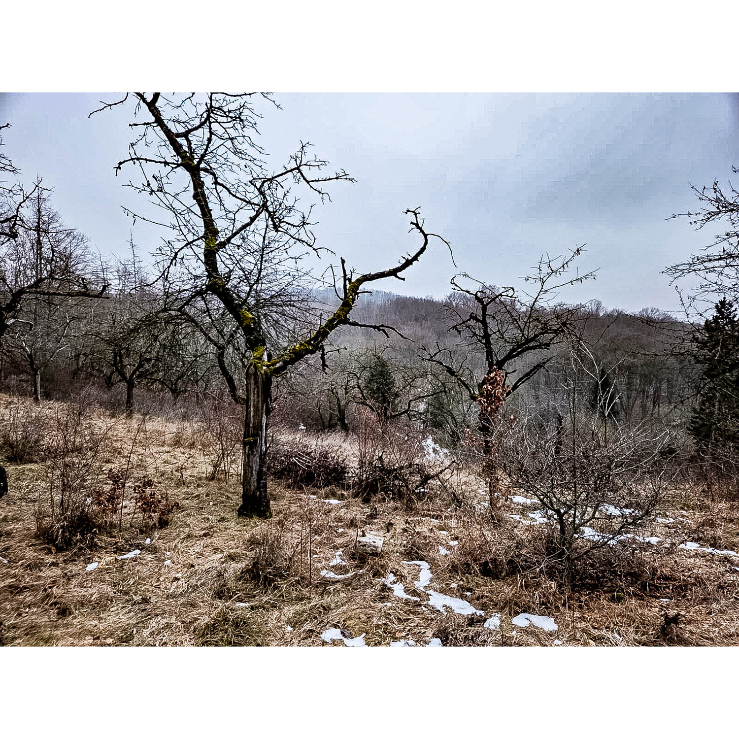 WhatsApp Image 2026-01-25 at 07.04.21 (4)