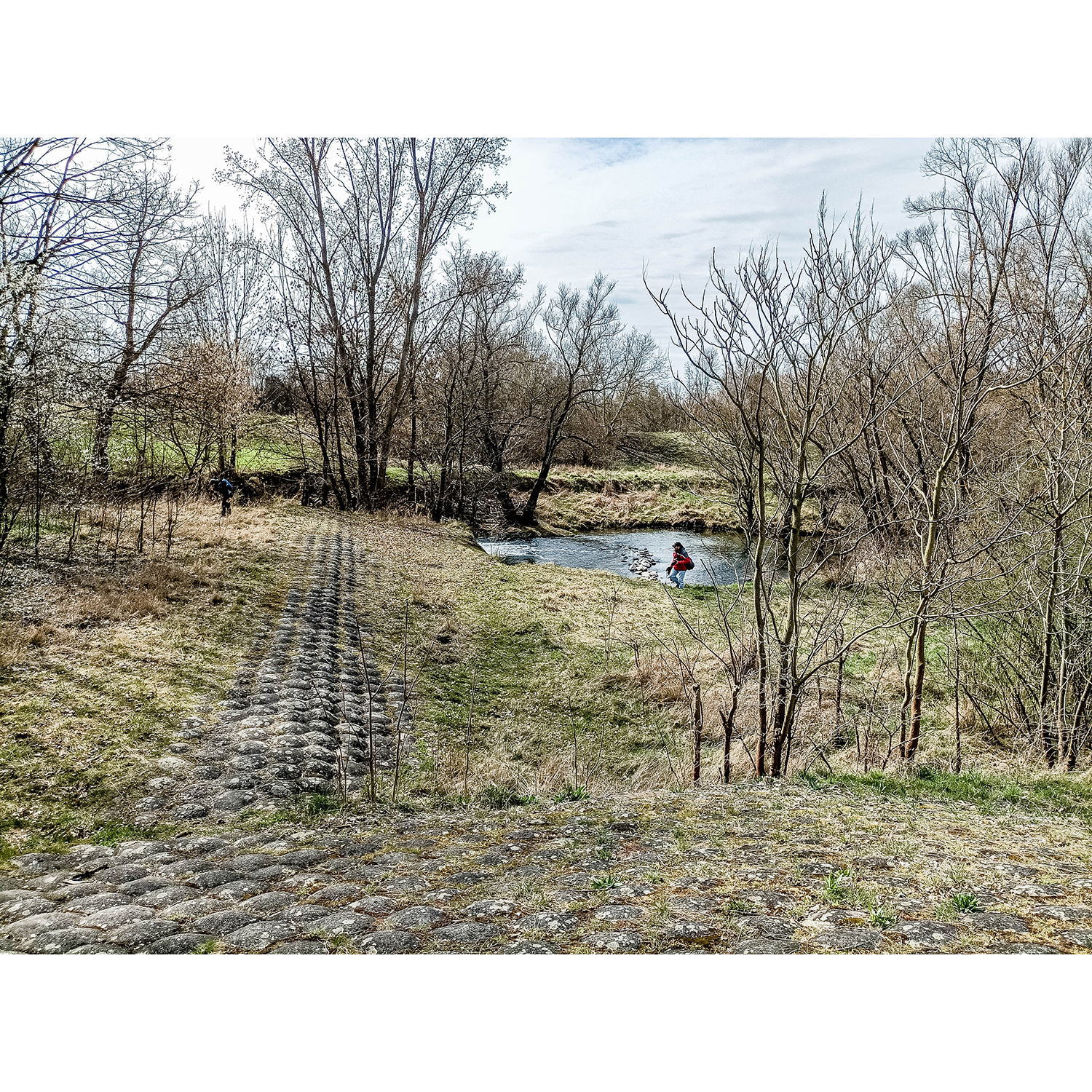 07-Merseburg-Saaledeich zwischen Probstei-Fasanerie & Alter Saale - Blick nach Südwesten auf Alte Saale