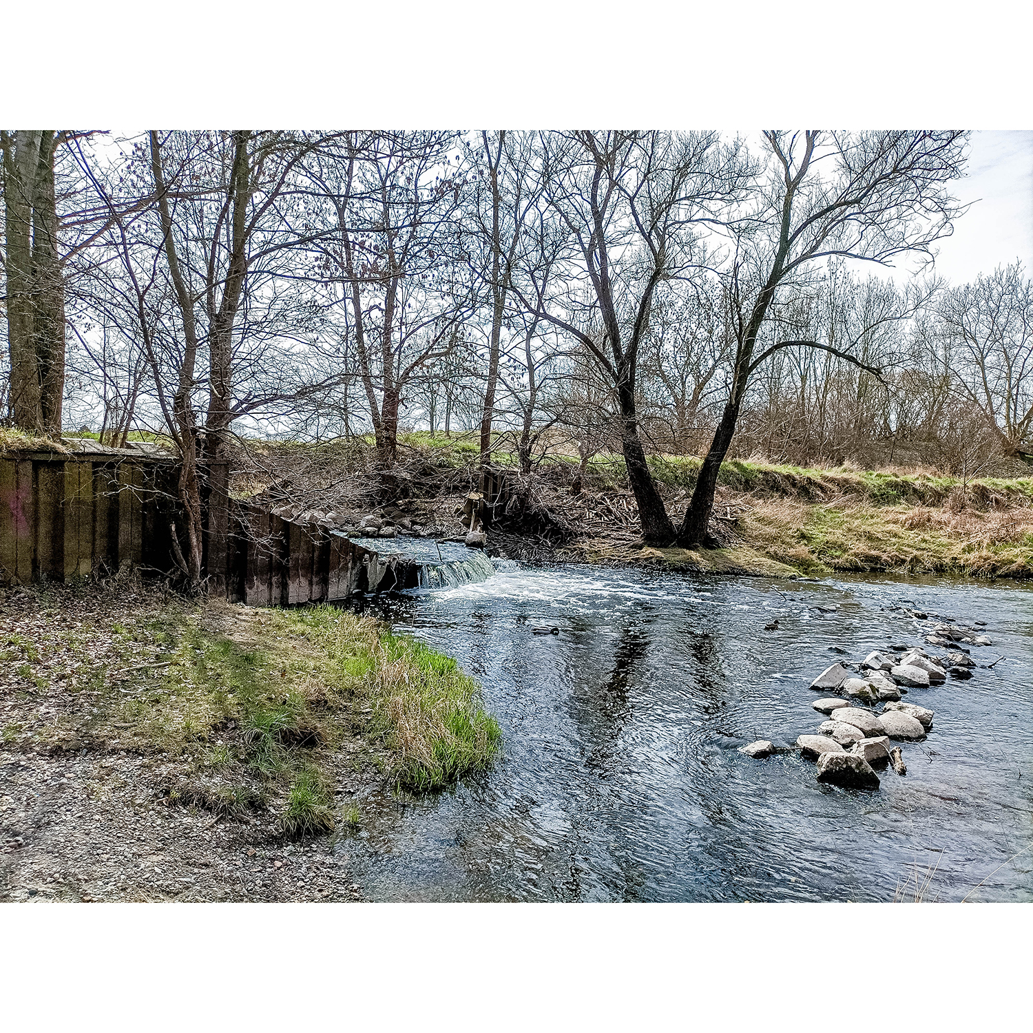 08-Merseburg-Aue Alte Saale Höhe Saaledeich zwischen Probstei-Fasanerie & Alter Saale - Blick nach Süden auf Alte Saale gewässeraufwärts