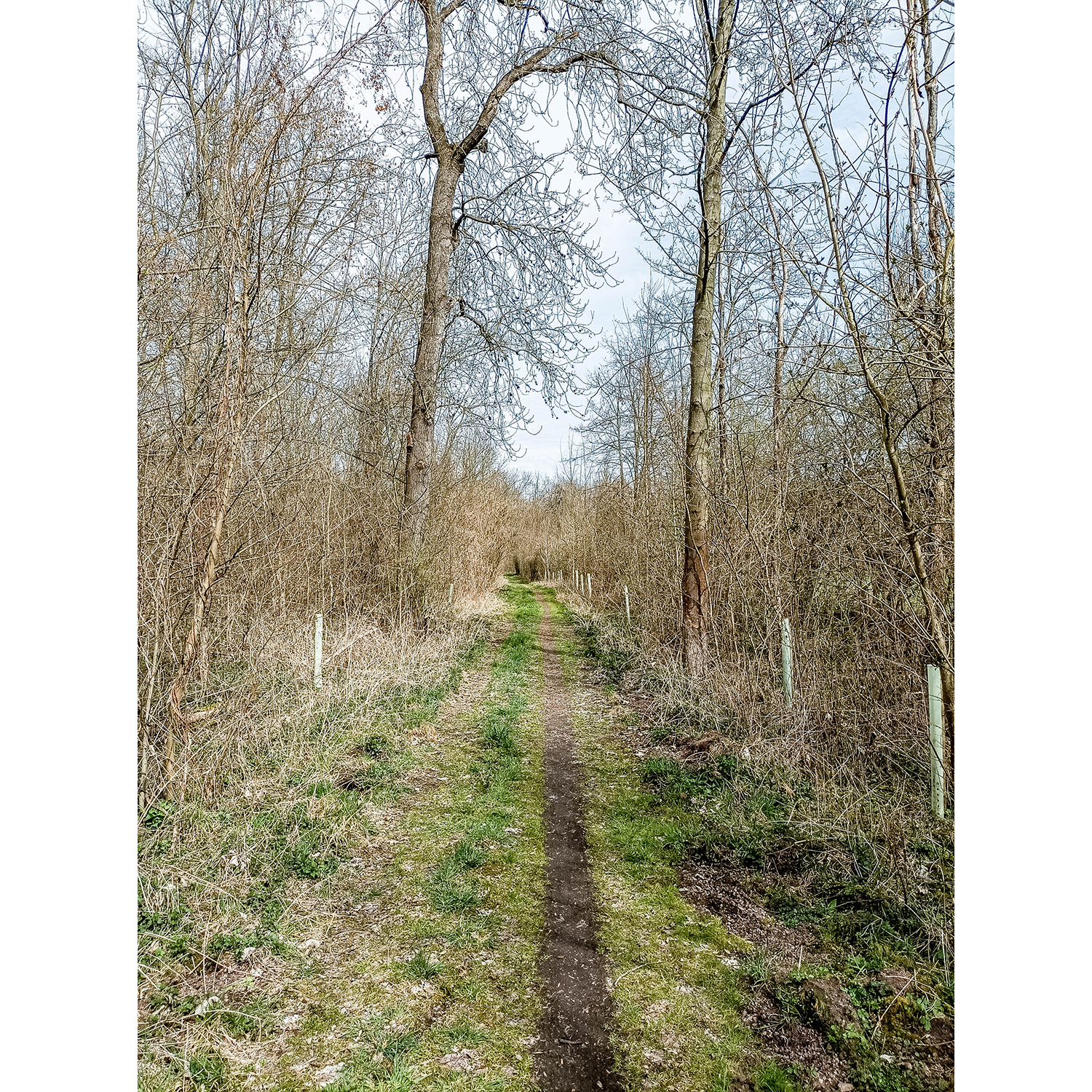 12-Merseburg-Fasanerie - Südostbereich - Blick nach Nordosten