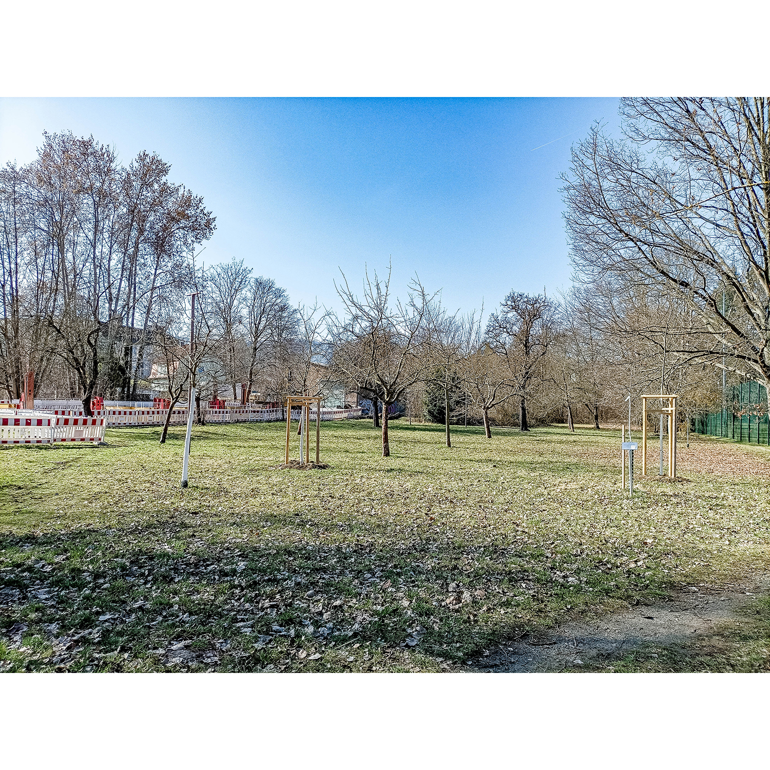 13-Saalfeld-Saalewiesen - Blick nach Südwesten auf Streuobstwiese nördlich Köditzgraben-Köditzbach & westlich der Saale