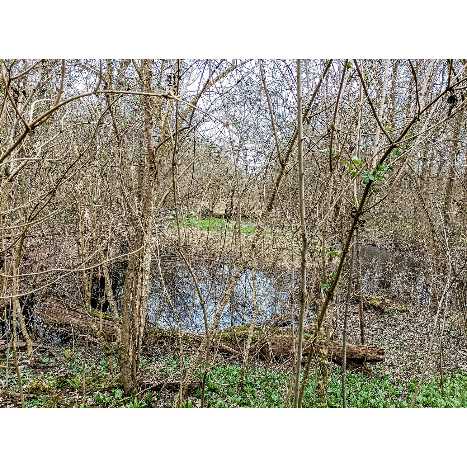 19-Merseburg - Fasanerie - Südbereich - Blick nach Nordosten auf Die stille Lache