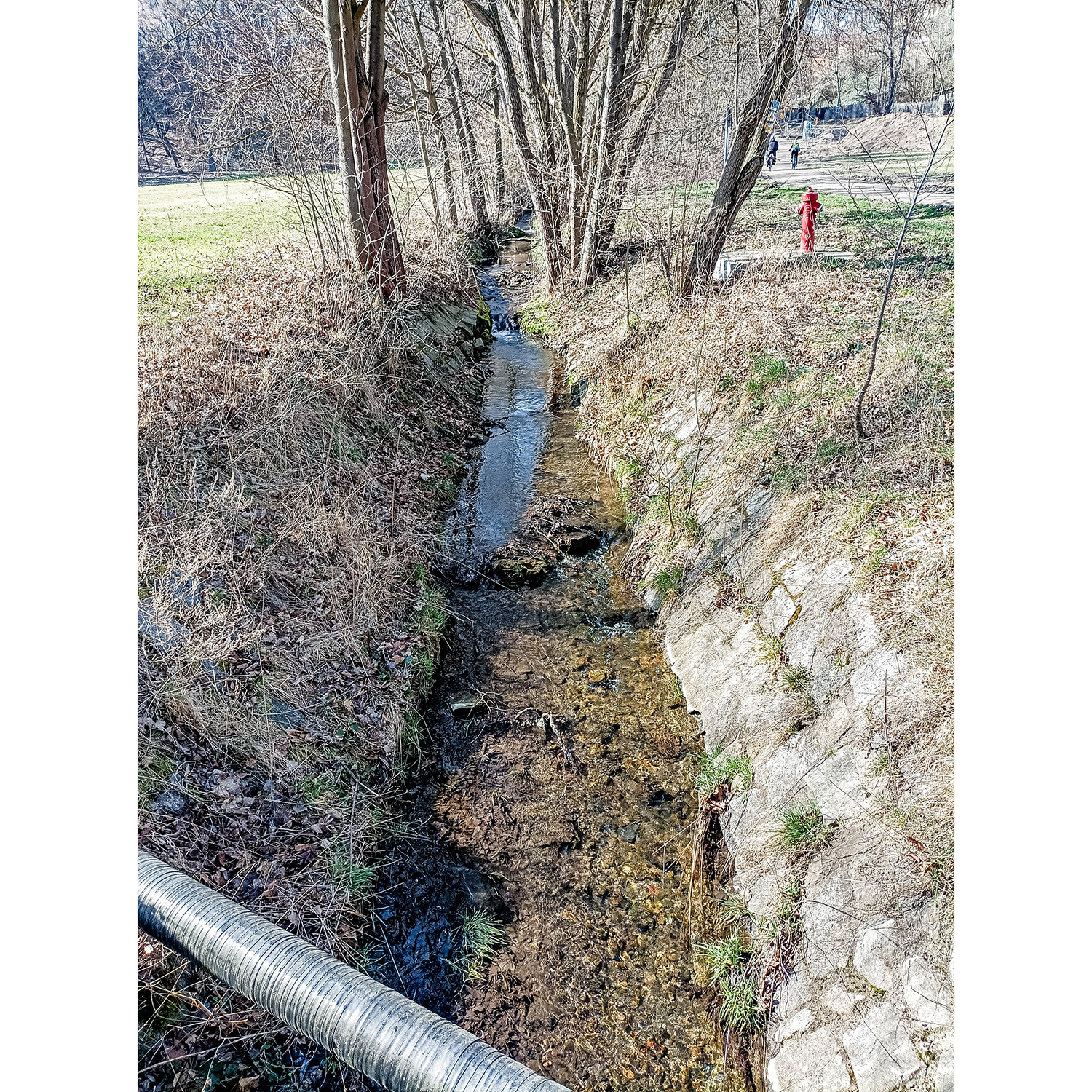 21-Saalfeld-Saaleradweg - Blick nach Südwesten auf Siechenbach gewässeraufwärts in Richtung Am Weidig