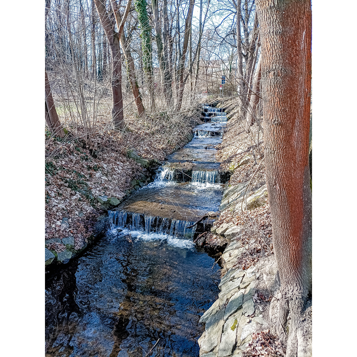 27-Saalfeld-Aue Siechenbach unweit Am Weidig - Blick nach Südwesten auf Siechenbach gewässeraufwärts