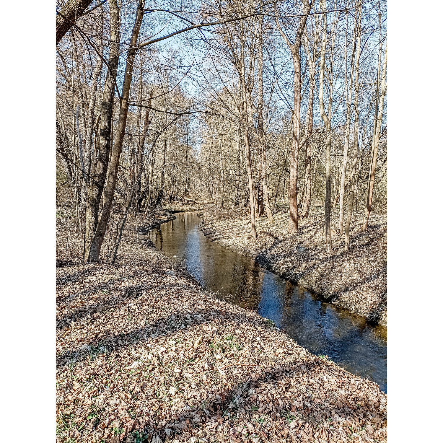 37-Saalfeld-Saaleradweg - Höhe Wehr Göritzmühle - Blick nach Nordwesten auf Mühlgraben in Richtung Göritzmühle
