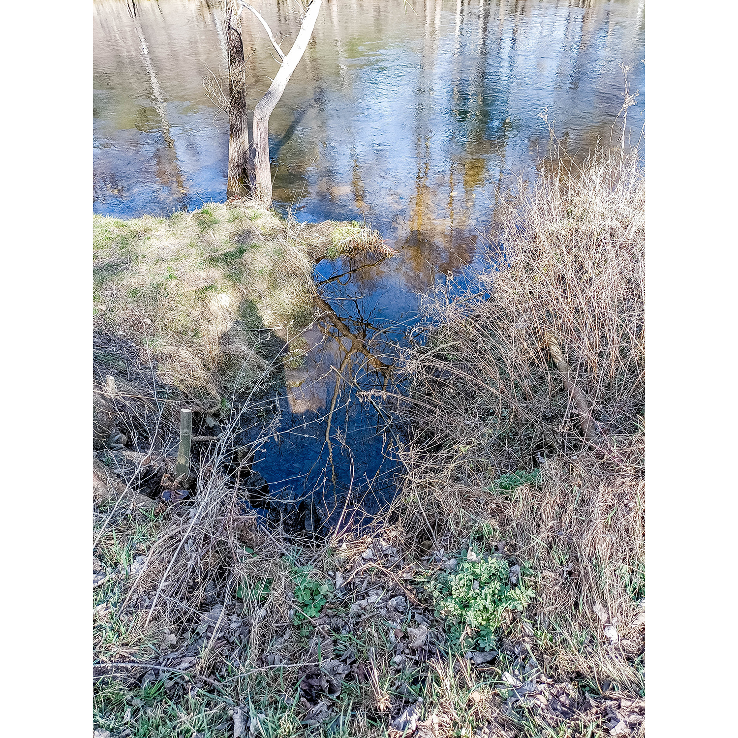 44-Saalfeld-Remschütz - Saalweg - Blick nach Nordosten auf Zechenbach gewässerabwärts mit Einmündung in Saale gewässeraufwärts