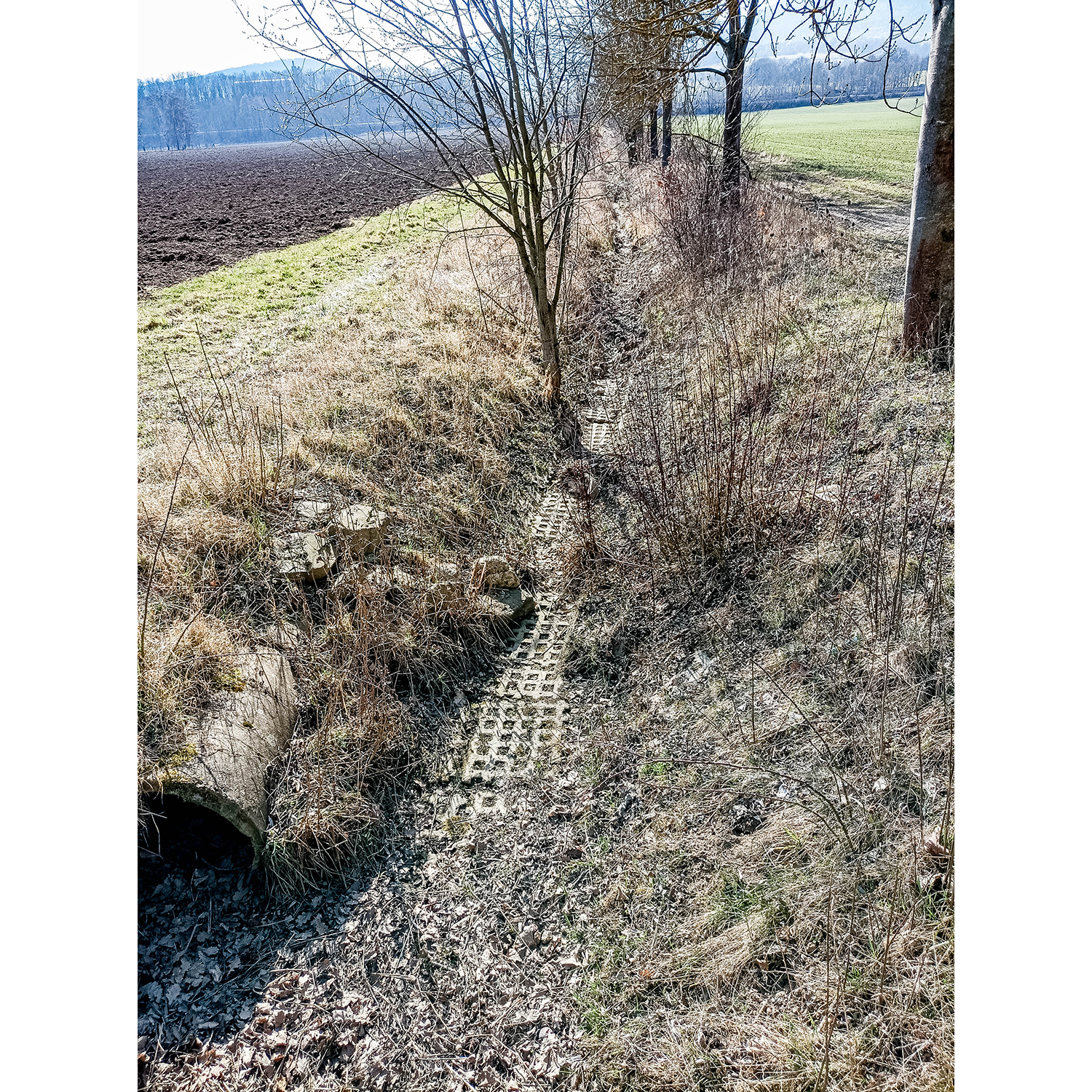 52-Saalfeld-Remschütz - Saalweg - Blick nach Südwesten auf Läusebach gewässweraufwärts