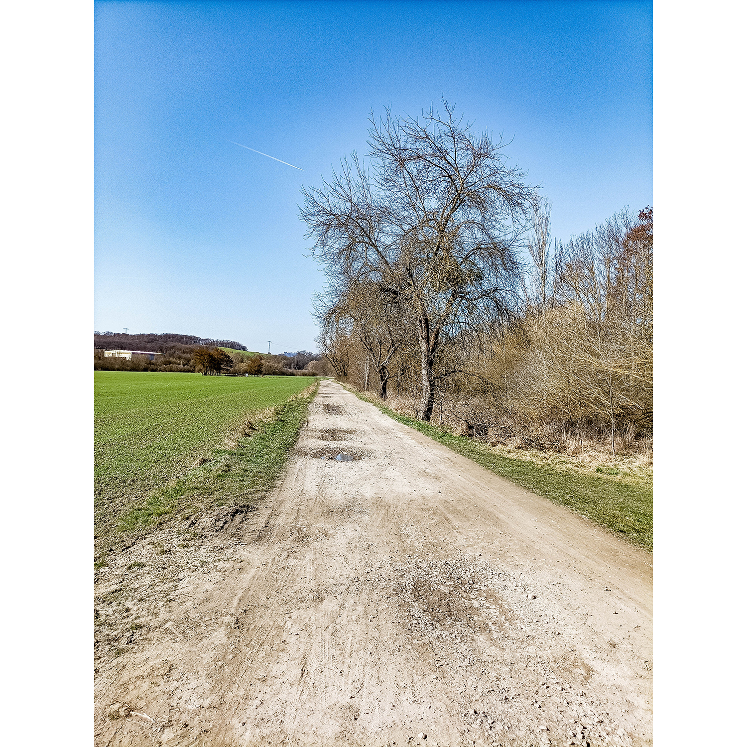 57-Saalfeld-Remschütz - Saalweg - Ause Saale & Auebach - Blick nach Nordwesten auf Saaleweg in Richtung Rudolstadt mit zwei Apfelbäumen
