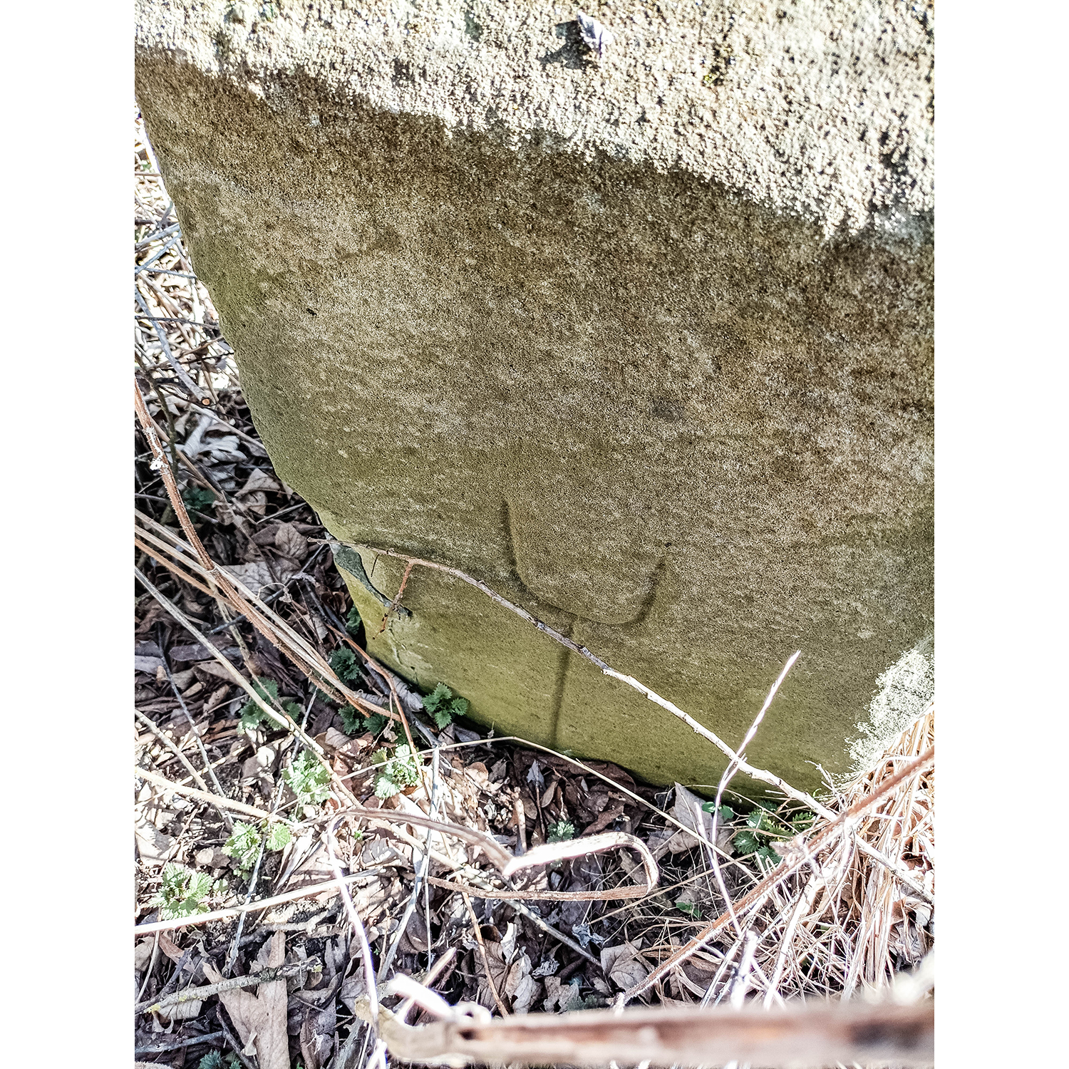 59-Saalfeld-Remschütz - Saalweg - Abschnitt zwischen Auebach & Brücke B 85 & 88 - Blick nach Südosten auf Markierungsstein
