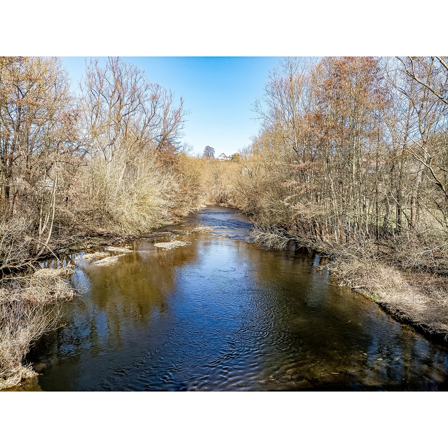 75-Rudolstadt - Preilipper Steg - Blick nach Nordosten auf Saale gewässerabwärts