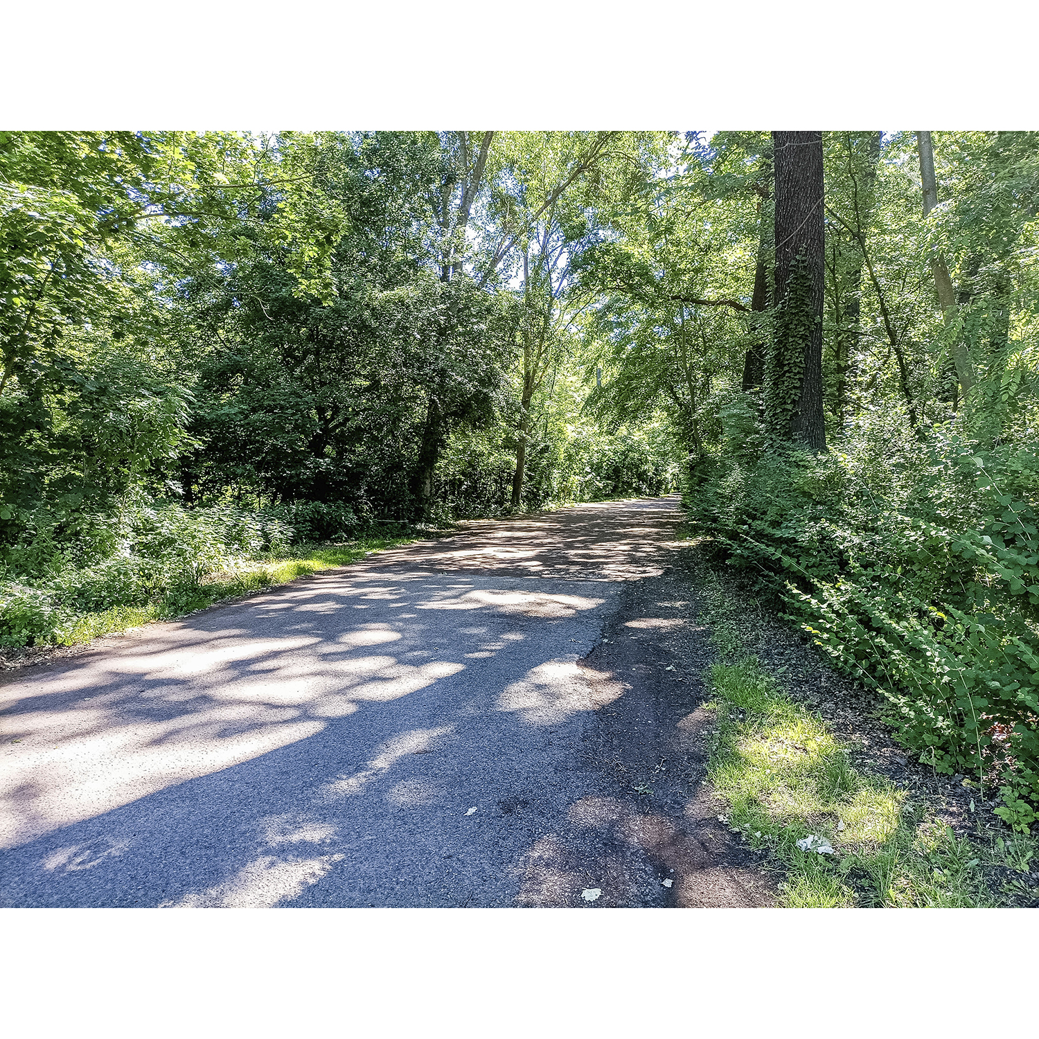 01-Köthen-Akazienstraße - Blick nach Südosten auf Ziethebusch & Schulzes Park in Richtung Kleingartenanlagen