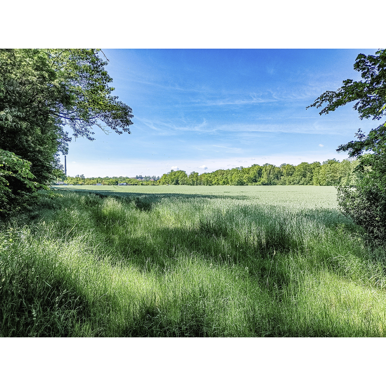 09-Köthen-Verbindungsweg Dessauer Straße & Porster Weg - Blick nach Südwesten auf Kleingartenanlage & Feld & Ziethebusch