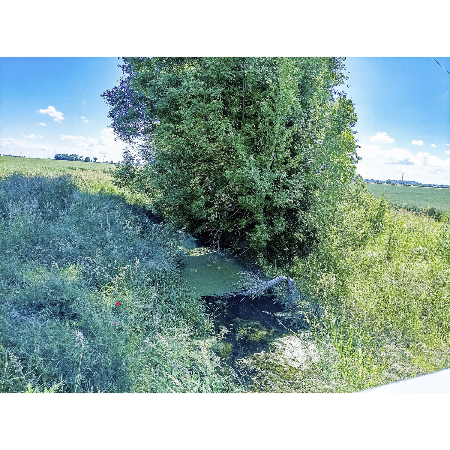 14-Köthen-Porster Weg - Blick nach Nordosten auf Ziethe gewässeraufwärts