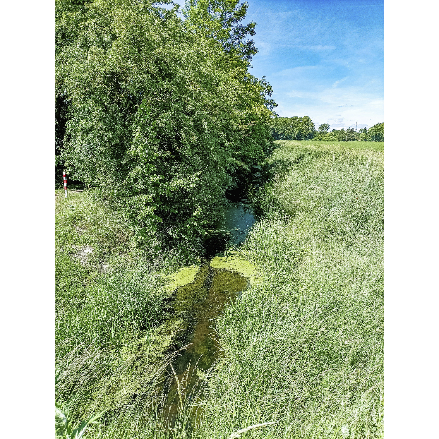 15-Köthen-Porster Weg - Blick nach Südwesten auf Ziethe gewässerabwärts