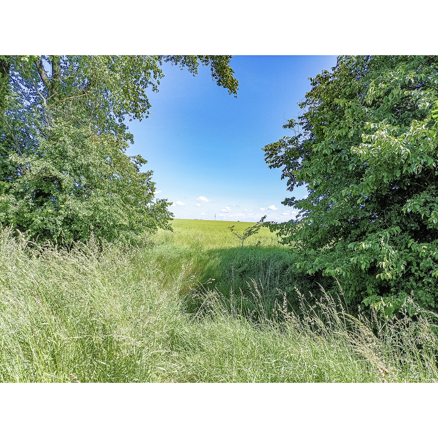 17-Köthen-Verbindungsweg Porster Weg & Straße der Freundschaft -Höhe Zehringer Busch - Blick nach Norden über Ziethe auf Agrarlandschaft & Zietheaue & Zehringer Busch