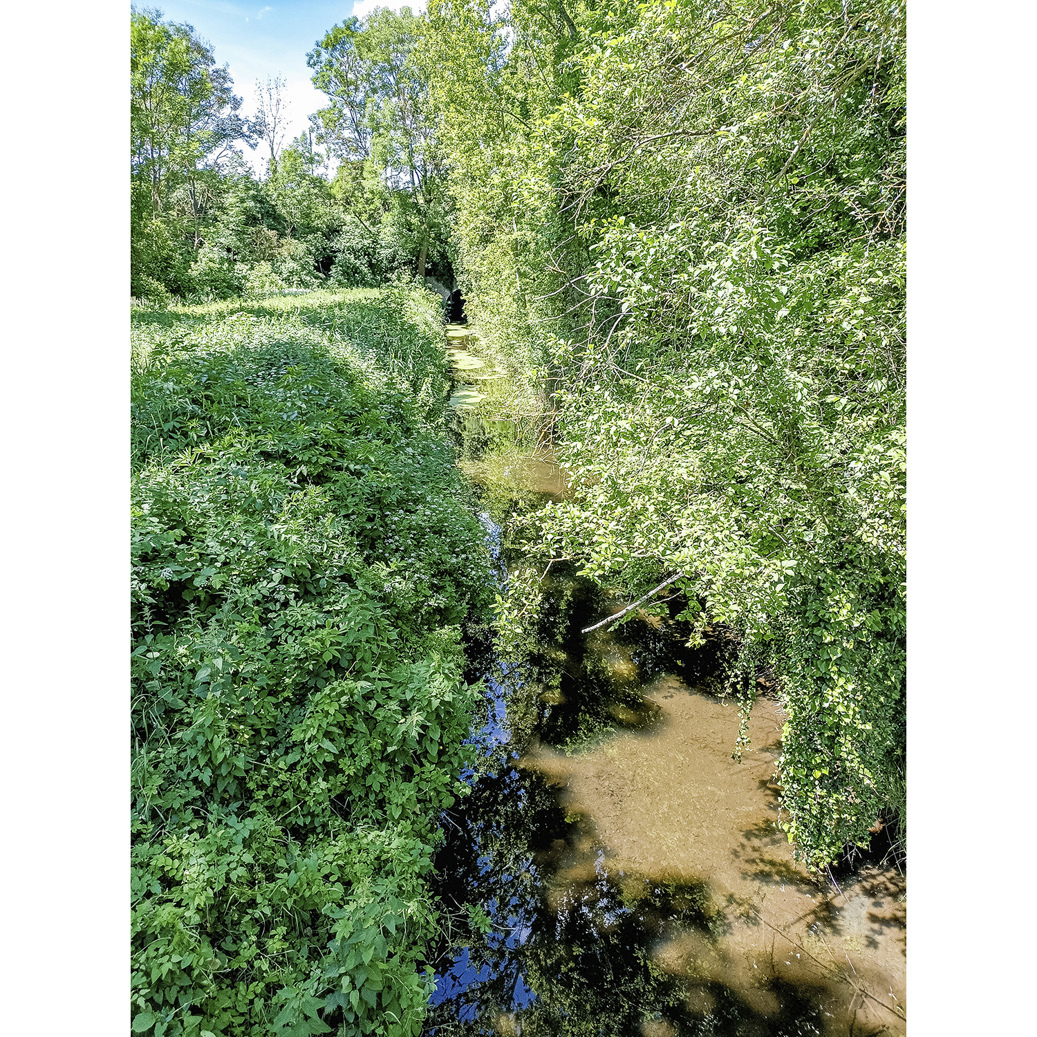 20-Köthen-B 185-Dessauer Straße - Blick nach Südwesten auf Ziethe gewässerabwärts & Bahndamm