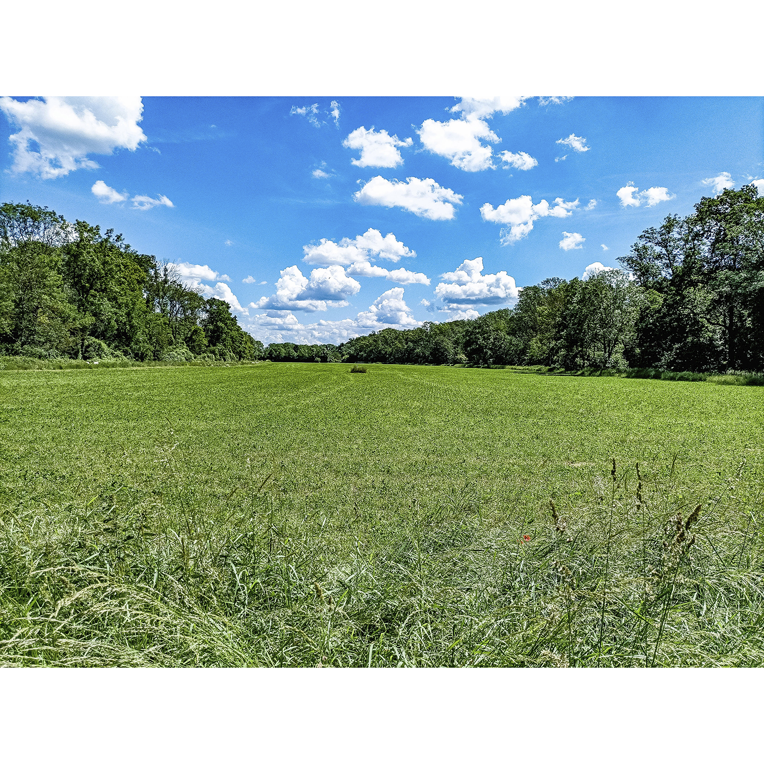 21-Köthen-B 185-Dessauer Straße - Blick nach Osten auf Schäferwiese & Ziethe gewässeraufwärts & Ziethebusch
