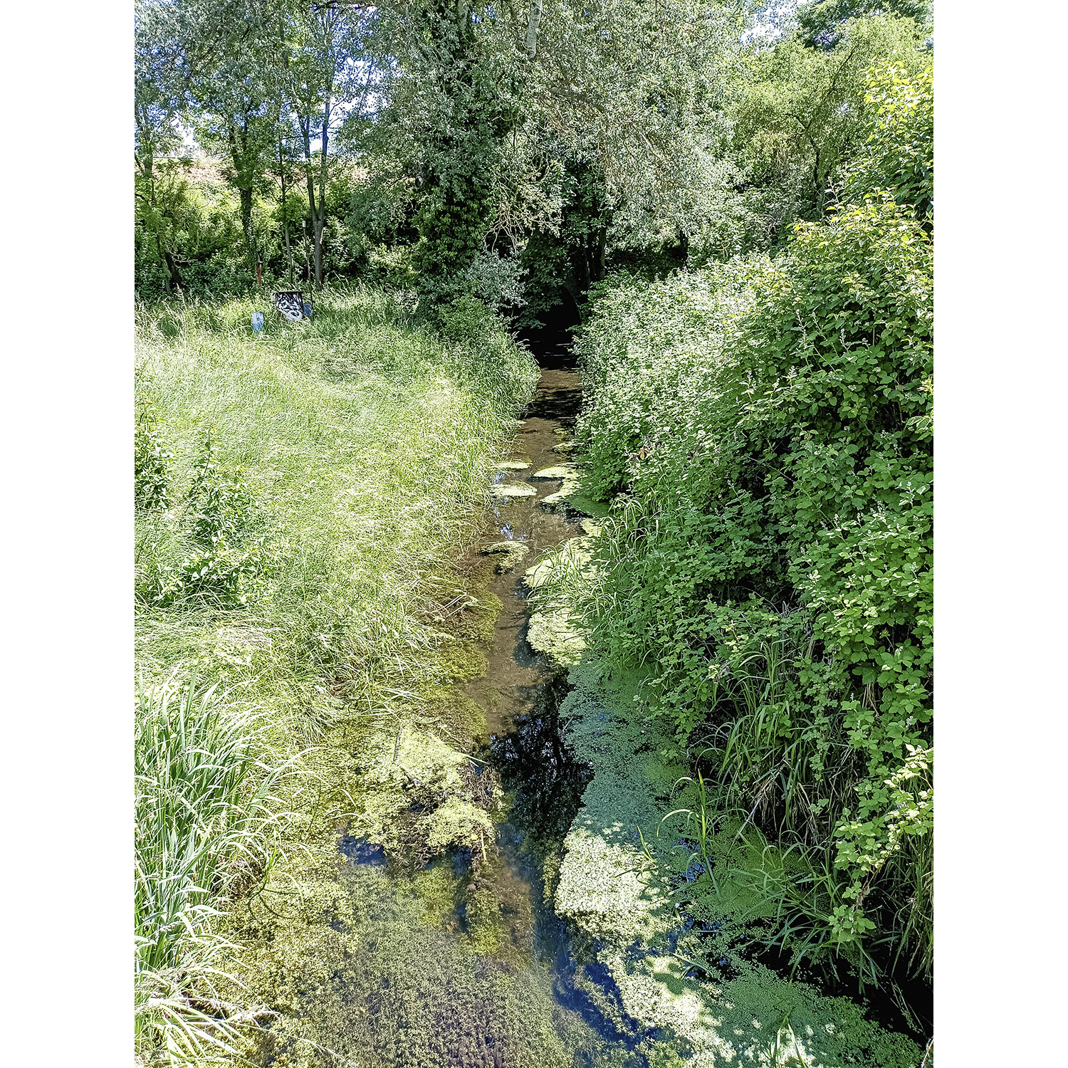 22-Köthen-Verbindungsweg K B 2097-Güterseeweg & Augustenweg & Dreiangel - Blick nach Nordosten auf Ziethe gewässeraufwärts & Bahndamm