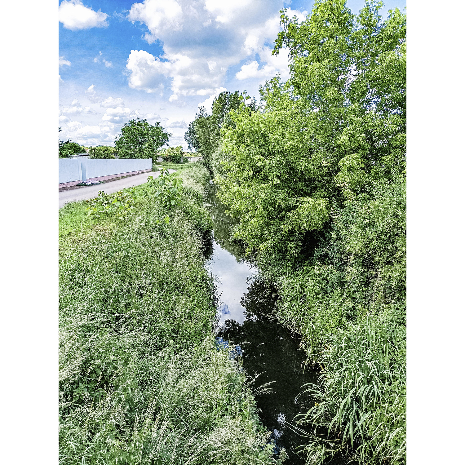 27-Köthen-Brücke Maxdorfer Straße - Blick nach Südwesten auf Ziethe gewässerabwärts