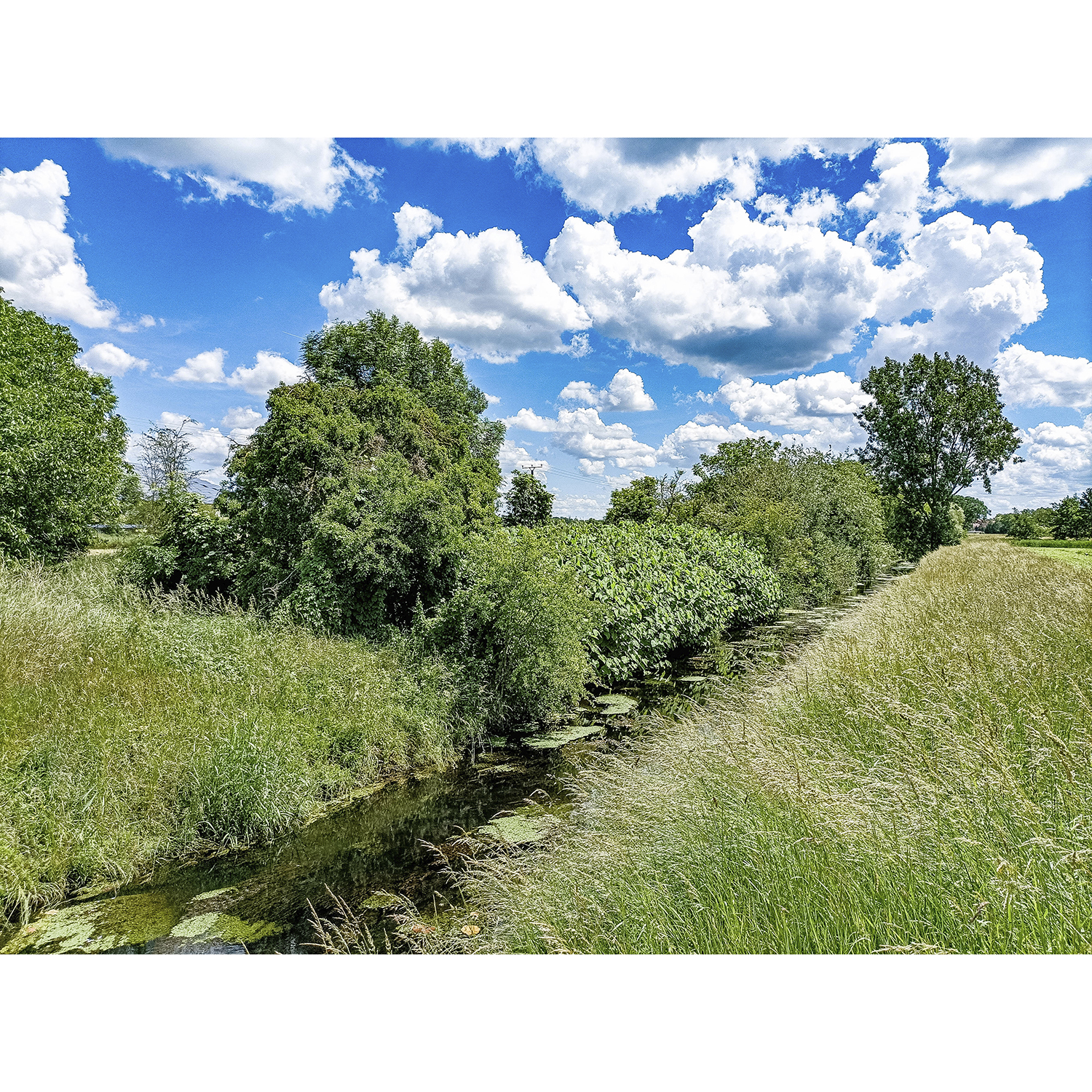 29-Köthen-Angerstraße - Blick nach Nordosten auf Ziethe gewässeraufwärts