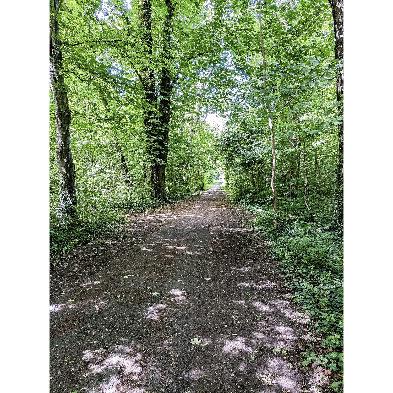 32-Osternienburger Land-Großpaschleben - Blick nach Nordwesten auf Park in Richtung Wasserschloss