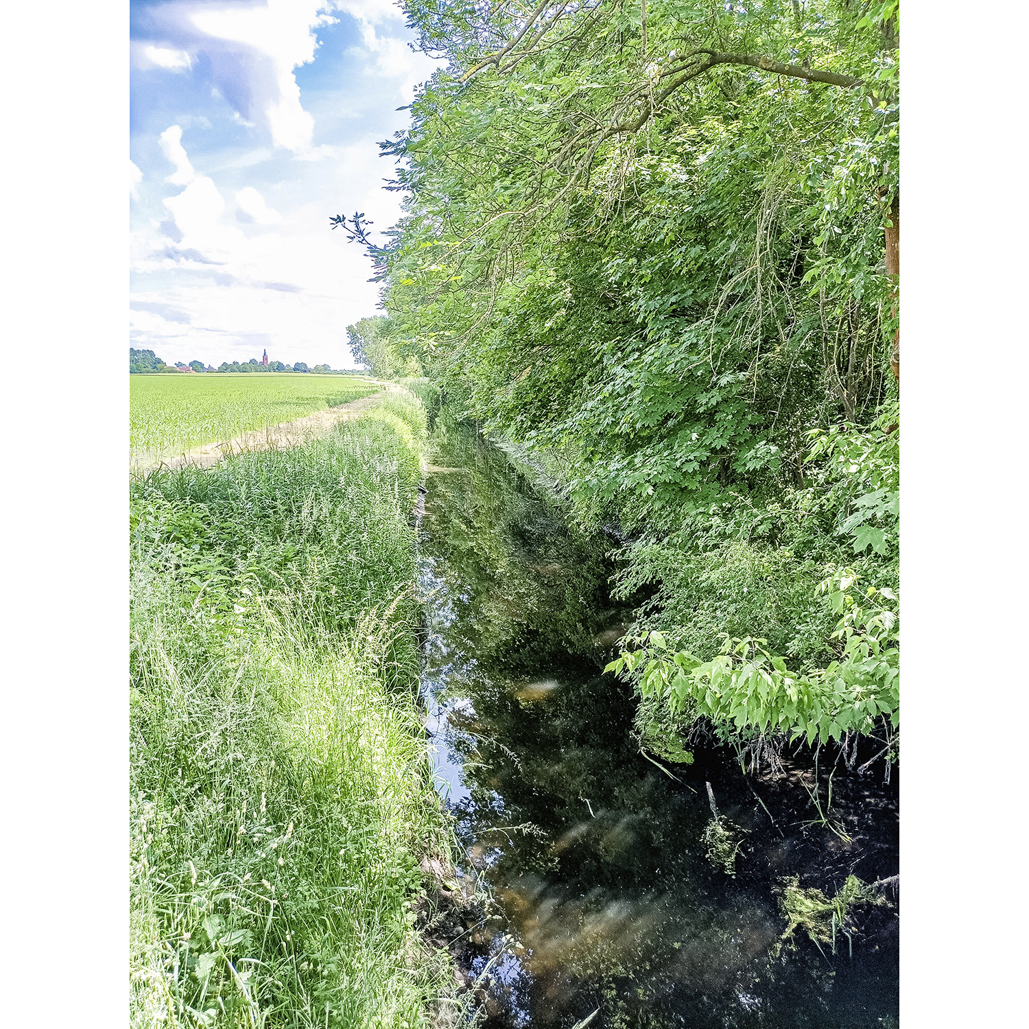 40-Osternienburger Land-Trinum -Zabitzer Weg - Blick nach Südosten auf Zabitz & Ziethe gewässeraufwärts & Trinumer Busch