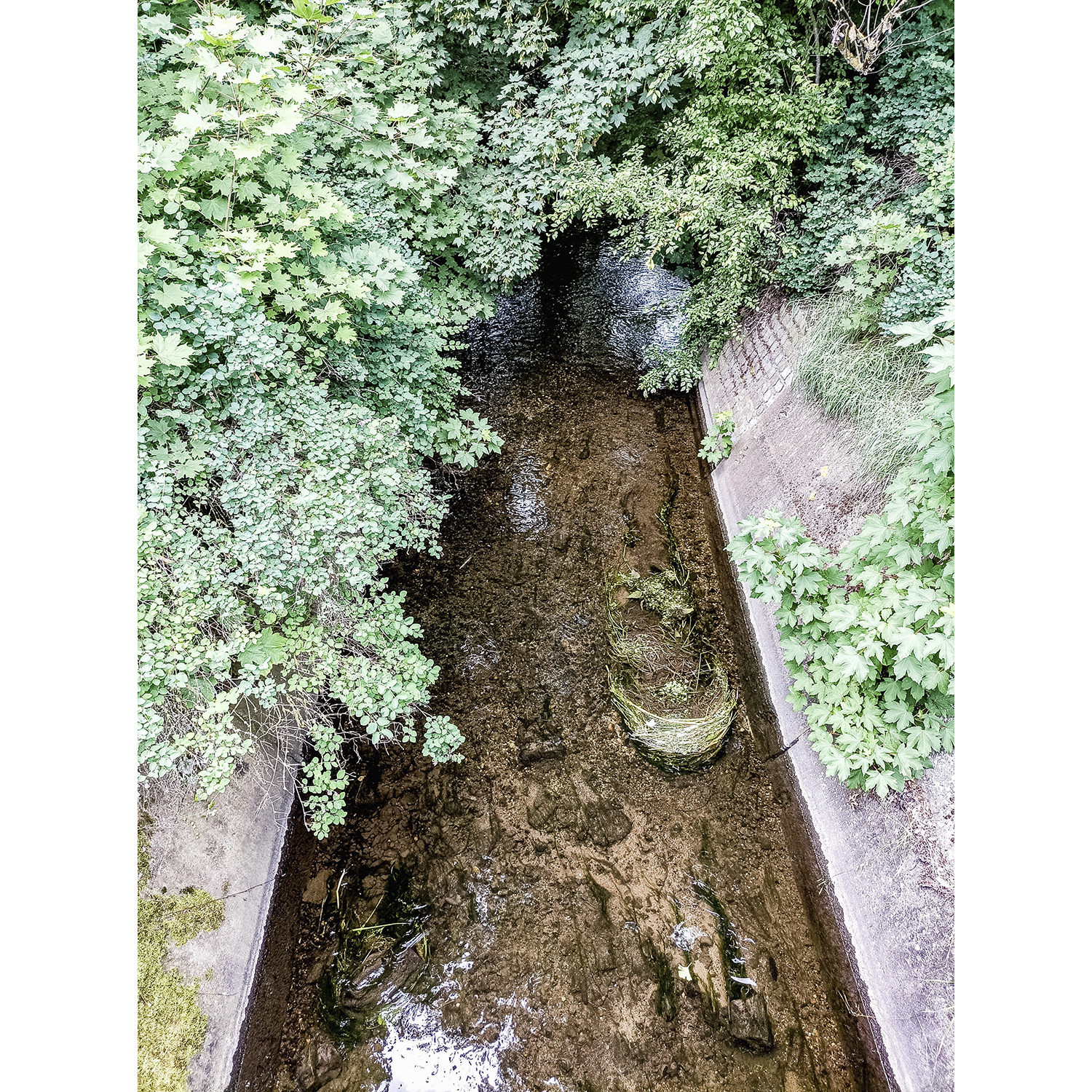 48-Bernburg-Plömnitz-L 149 - Blick nach Südosten auf Ziethe gewässeraufwärts