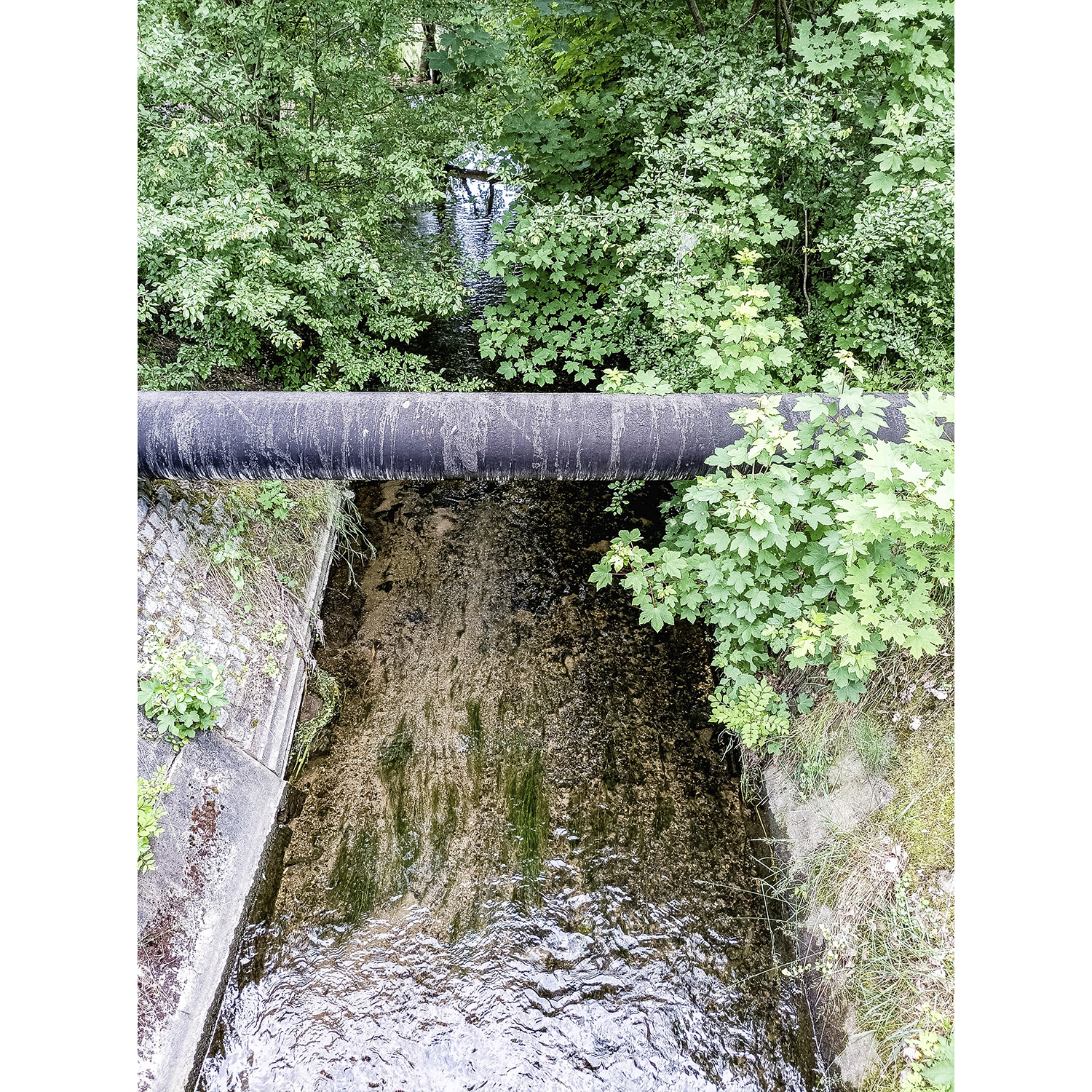 49-Bernburg-Plömnitz-L 149 - Blick nach Nordwesten auf Ziethe gewässerabwärts