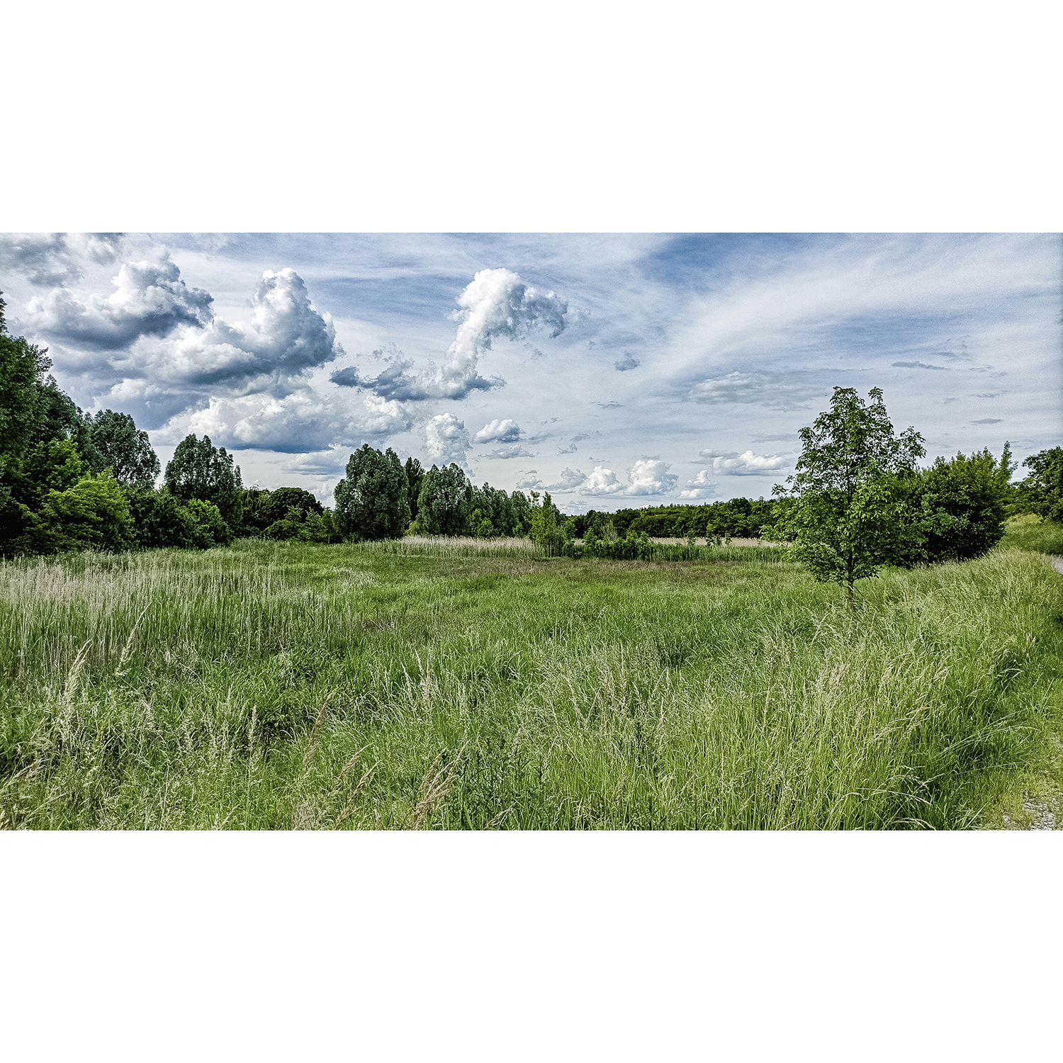 57-Bernburg-Verbindungsweg Roschwitz - Baalberger Chaussee & Teichweg - Blick nach Nordwesten auf Aue Fuhne & Fuhne gewässerabwärts