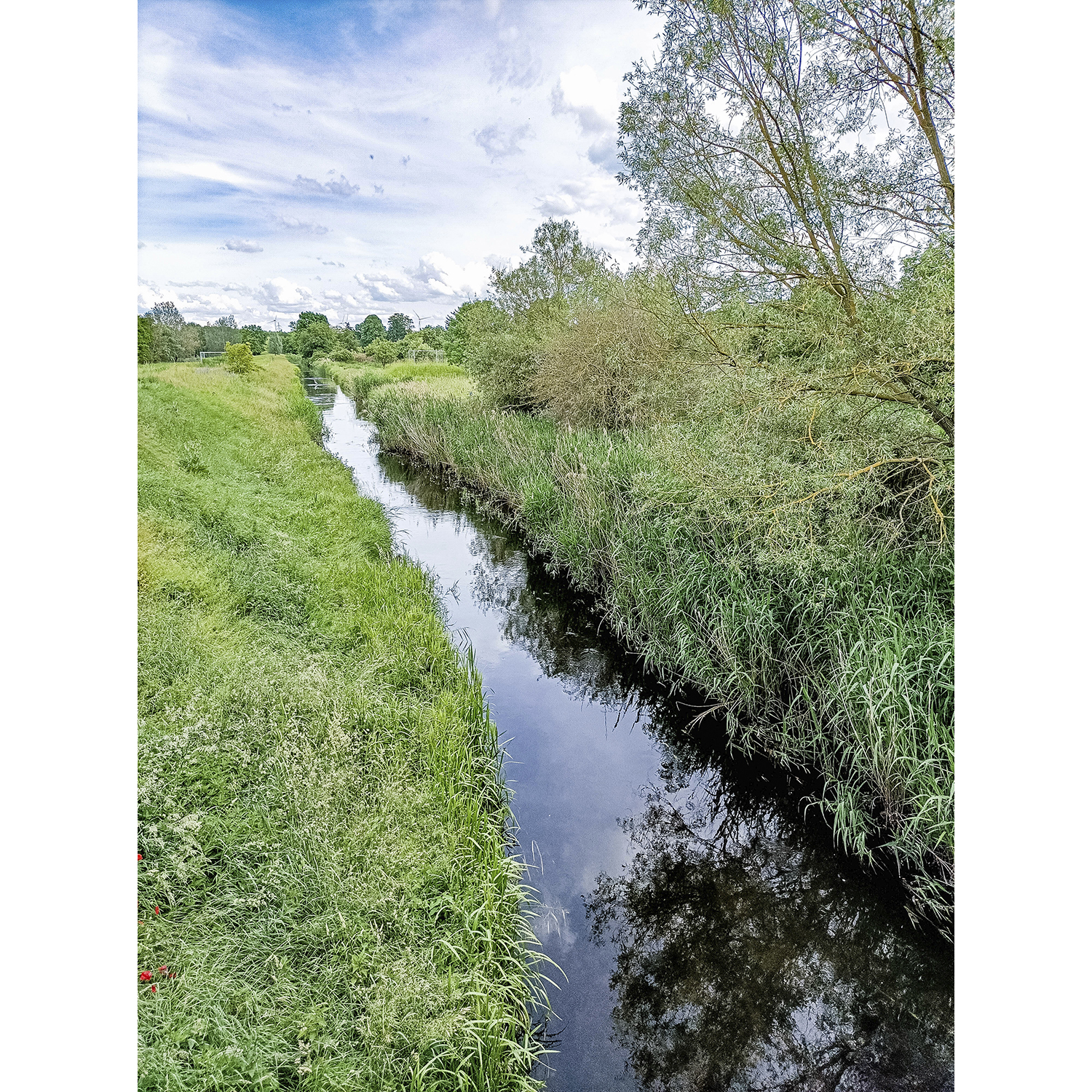 58-Bernburg-Teichweg - Blick nach Südosten auf Fuhne gewässeraufwärts